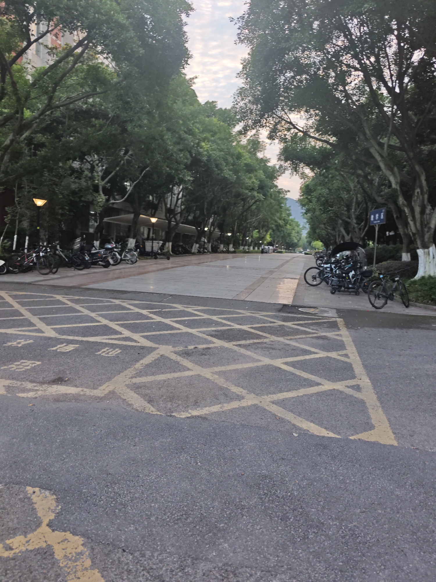 The image depicts a street scene in the Chongqing High-tech Zone, China. In the foreground, a section of asphalt road features yellow crosshatching markings, suggesting a no-parking or restricted area. Several bicycles and electric scooters are parked in a line along the curb to the left and right of the paved walkway. The walkway is lined with trees, some of which have their trunks painted white. Buildings are visible in the background, partially obscured by the foliage. A lamppost stands to the left, and a blue sign with white text is visible on a pole among the trees on the right. The sky above is overcast with hints of pink and orange, indicating either dawn or dusk. There are no people clearly visible in the image.