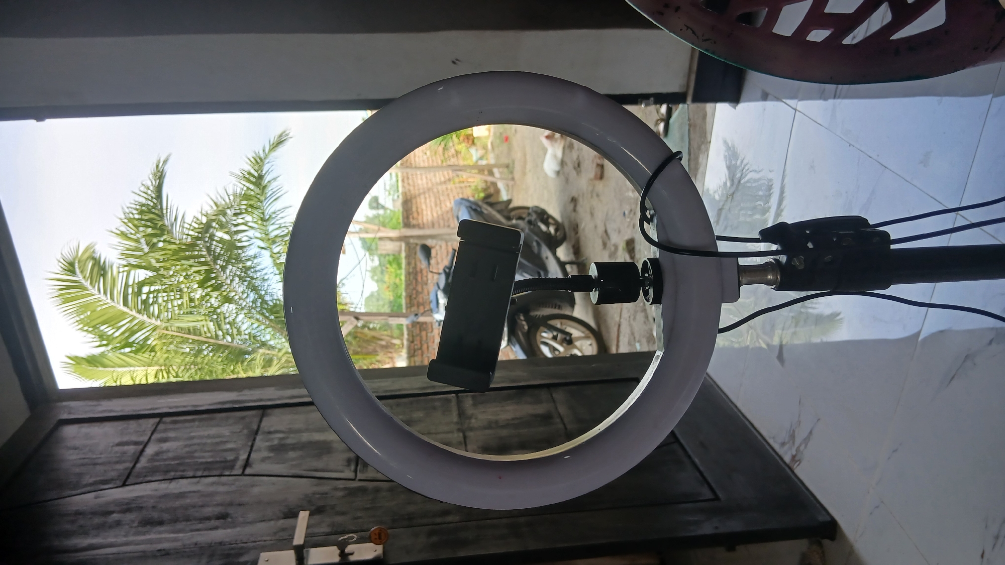 An outdoor scene at Klambir Lima Kebun, Indonesia, shows a ring light on a tripod in the foreground. The ring light has a black phone holder attached. Behind the ring light, a motorcycle is parked outdoors on a dirt surface. To the right of the motorcycle, a white cat is lying down. A brick wall is visible in the background, and palm tree fronds are seen against a bright sky. A large dark wooden door is on the left side of the image. The ground is tiled with a marble-like pattern.