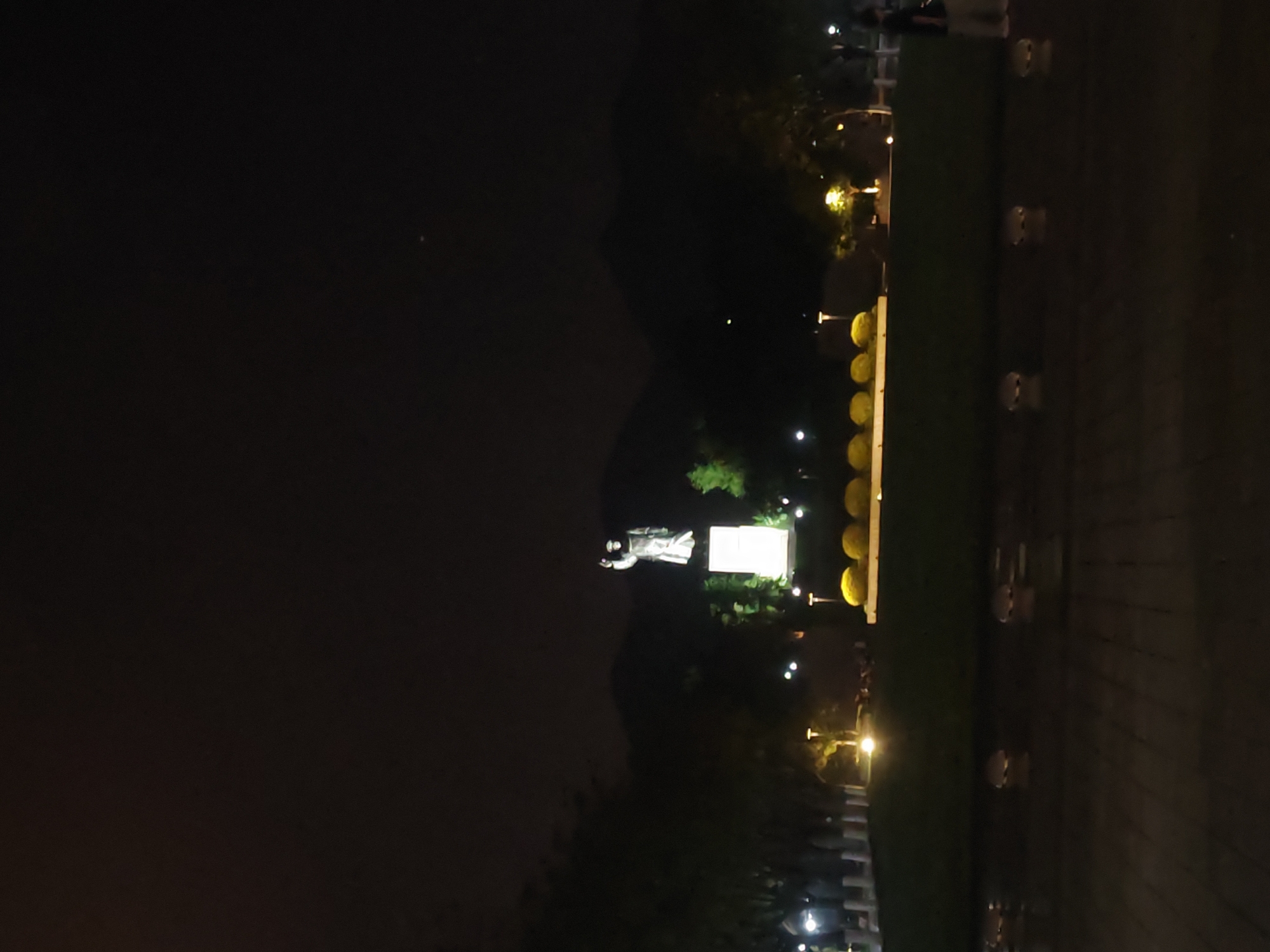 The image depicts a nighttime scene in Chongqing High-tech Zone, China. A statue stands illuminated against the backdrop of a dark, hilly landscape. A row of lights lines a path leading toward the statue. The foreground consists of a paved surface or walkway. Some indistinct figures can be seen at the far end of the path.