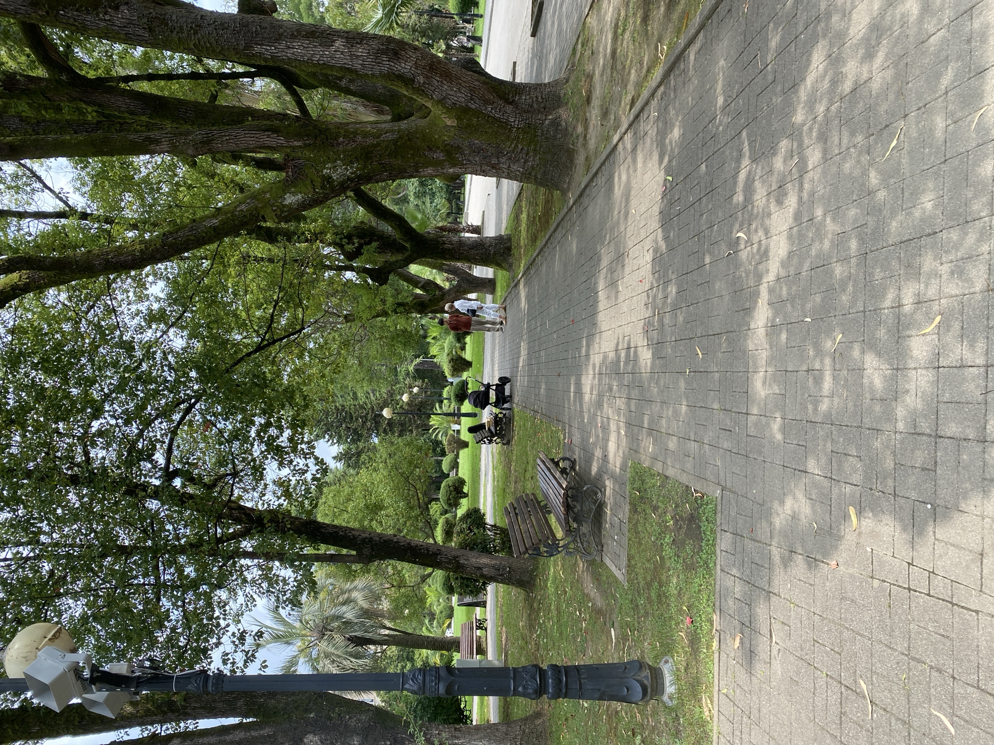 The image captures a sun-dappled pathway in a park in Sokhumi, Abkhazia. The pathway is paved with grey rectangular bricks and lined with lush green grass on the left. Large trees with moss-covered trunks and branches, characteristic of the region, arch over the path. In the background, there are manicured bushes and trees.
On the left side of the path, a dark ornate lamppost stands tall. A wooden park bench with a dark metal frame is situated on the grass to the right of the lamppost. Further down the path, another similar bench is visible.
In the middle ground, two people are walking away from the viewer. One person is wearing a light-colored top and pants, and the other is in a darker top and light pants. They are walking beside a baby stroller. Beyond them, another bench is visible, and more trees and greenery fill the background. The overall scene suggests a serene and well-maintained public park.