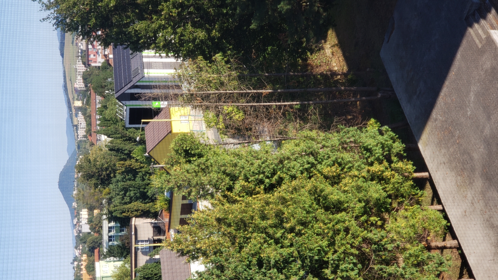 The image captures a view of a residential area in Prešov, Slovakia, featuring a mix of houses, trees, and distant hills under a clear sky. In the foreground, a concrete surface with some stairs is visible, casting a shadow. Behind it, several tall evergreen trees dominate the scene, with some dry, slender trees interspersed among them. Further back, a bright yellow house with a brown roof is visible, along with a modern building featuring solar panels on its roof. Beyond these structures, a collection of other houses and apartment buildings forms the urban landscape, with a prominent, rounded hill topped with a structure in the distance. The overall impression is one of a quiet, sunny day in a suburban or semi-urban environment.