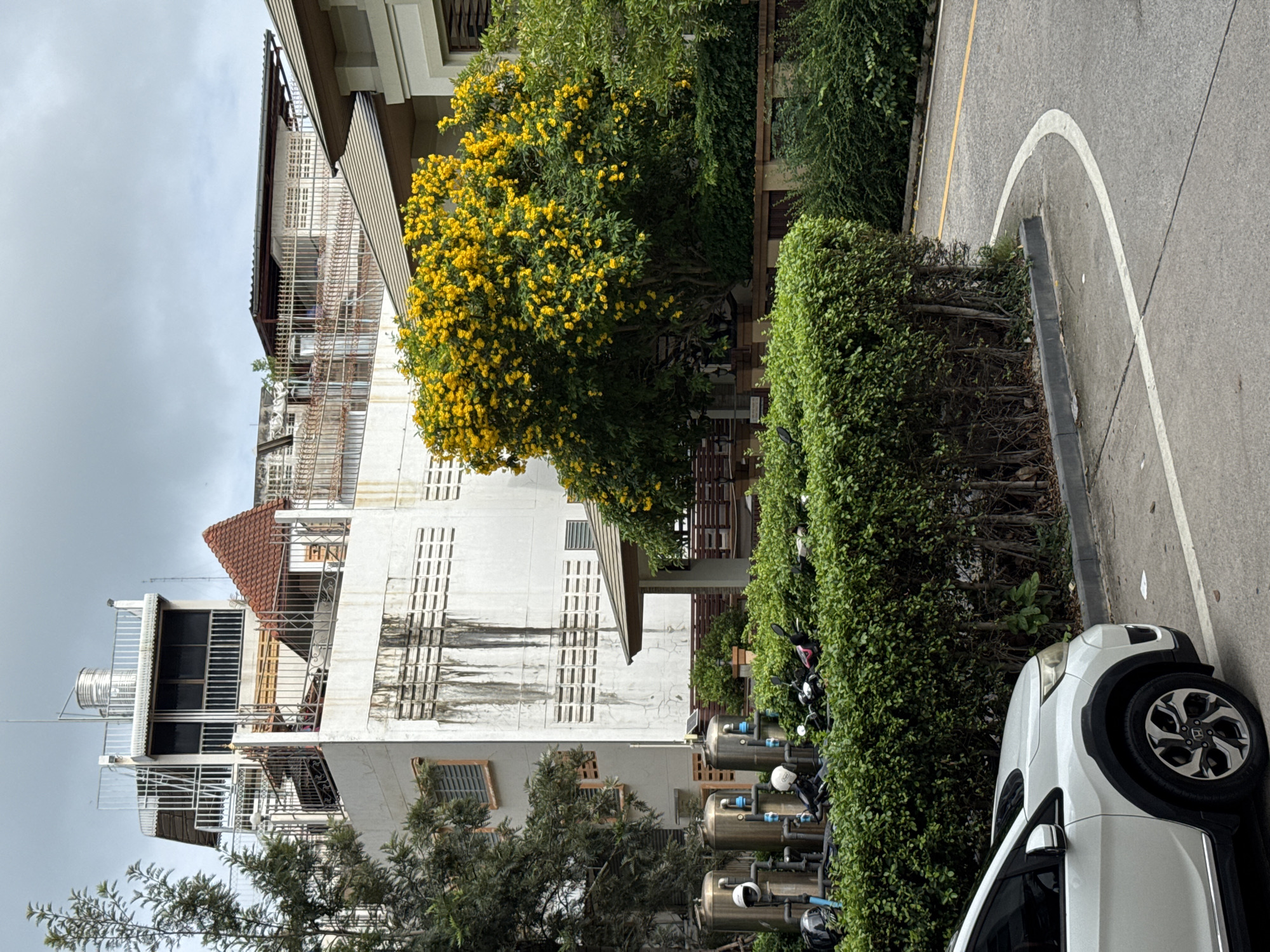 The image shows a street scene in Pattaya City, Thailand, with a white SUV parked on the left foreground. A neatly trimmed green hedge runs along the street, separating it from a row of what appear to be industrial tanks and several motorcycles parked behind the hedge. In the background, a multi-story building with a white facade and a complex rooftop structure, including a water tank and a red-tiled roof section, is visible. To the right of this building, a large tree with abundant yellow flowers dominates the middle ground. Further to the right, a portion of a modern building with a brown-tiled roof is visible. The sky is overcast.