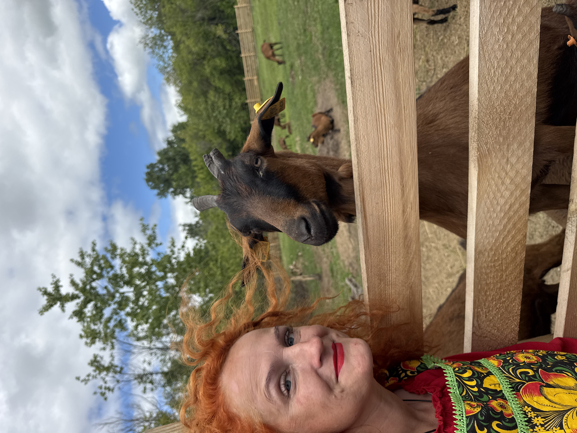 In the city of Три Озера, Russia, a woman with bright red, curly hair and red lipstick smiles at the camera. She is wearing a red top with a colorful embroidered apron featuring floral patterns in yellow, red, and black, accented with green trim. To her right, a brown goat with black markings on its head and small horns peers over a wooden fence, also looking towards the camera. The goat has a yellow tag on its left ear. In the background, a grassy field with more goats and trees is visible under a partly cloudy blue sky. The scene appears to be an outdoor enclosure, likely a farm or petting zoo.