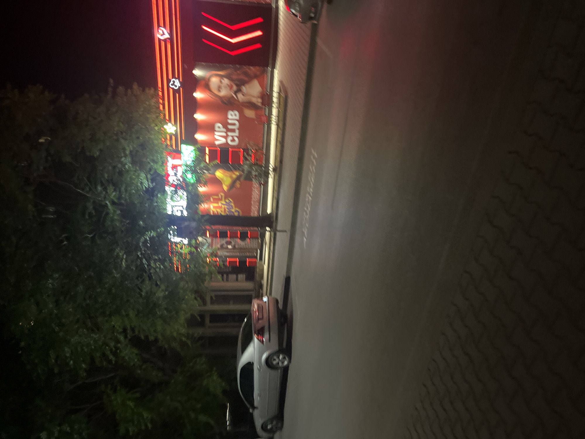 At night, a VIP Club is visible in Blagoevgrad, Bulgaria, with a bright neon sign featuring a woman's image. Adjacent to the building, trees border the street, where a silver car is parked. The street is lit by the club's lights and some street lighting.