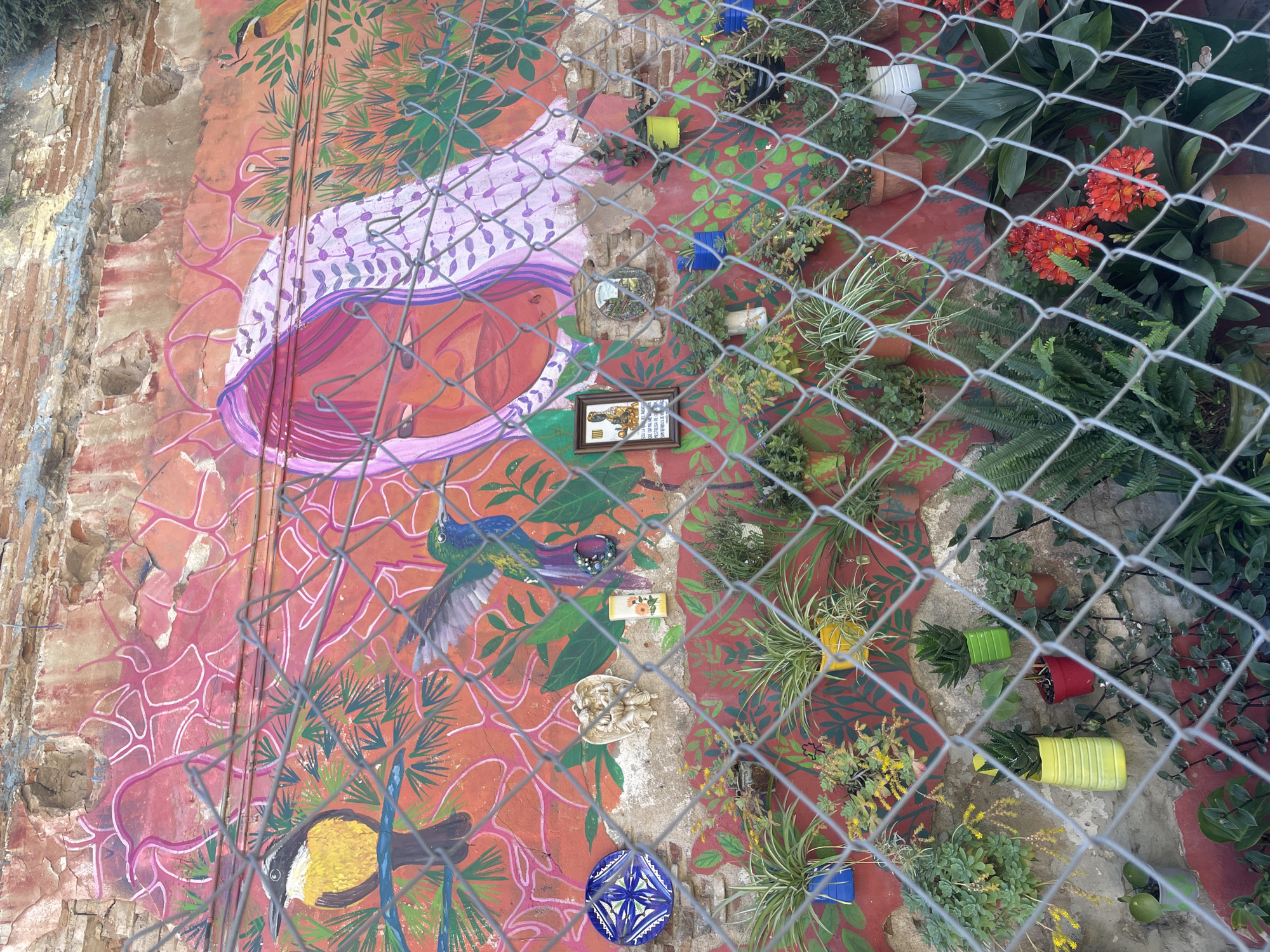 A section of a wall in Barcelona, Spain, is viewed through a chain-link fence. The wall features a painted mural with elements of nature, including birds and plants, rendered in vibrant colors. The paint is peeling and cracked in some areas. Various small items are attached to the wall, including ceramic decorative pieces, a framed picture, and small potted plants in colorful containers. Lush greenery, including ferns and flowering plants with orange blossoms, grows along the wall, further obscuring the view through the fence. The ground surface is painted red with a leaf-like pattern.
