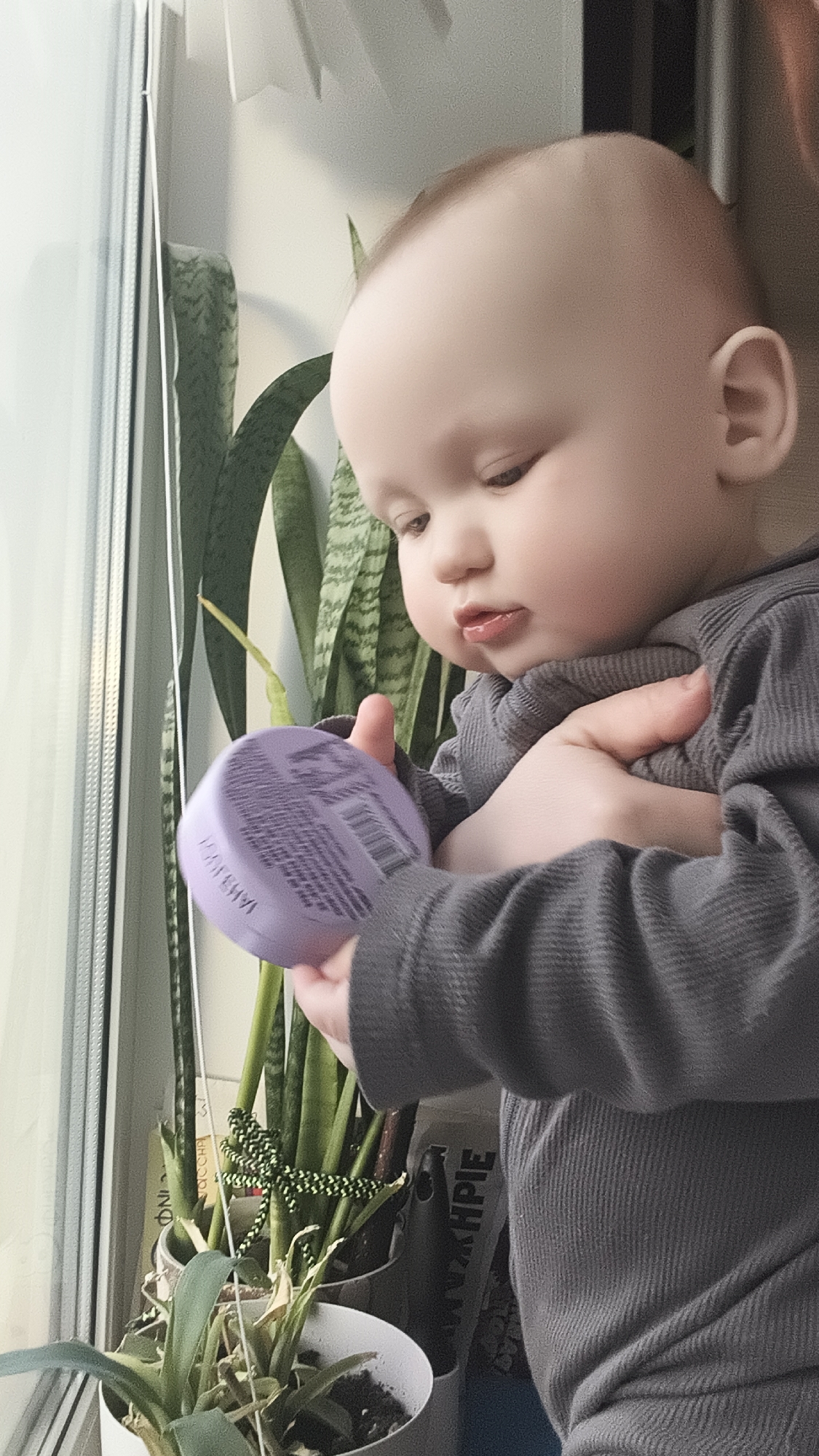 A young child is observed indoors, holding a circular, lavender-colored object in their hands. The child is wearing a gray, long-sleeved garment. Behind the child and to the left, a window is visible, next to plants in pots. The text "HPIE" is visible on an object behind the child. The exact location is Unknown, Unknown.