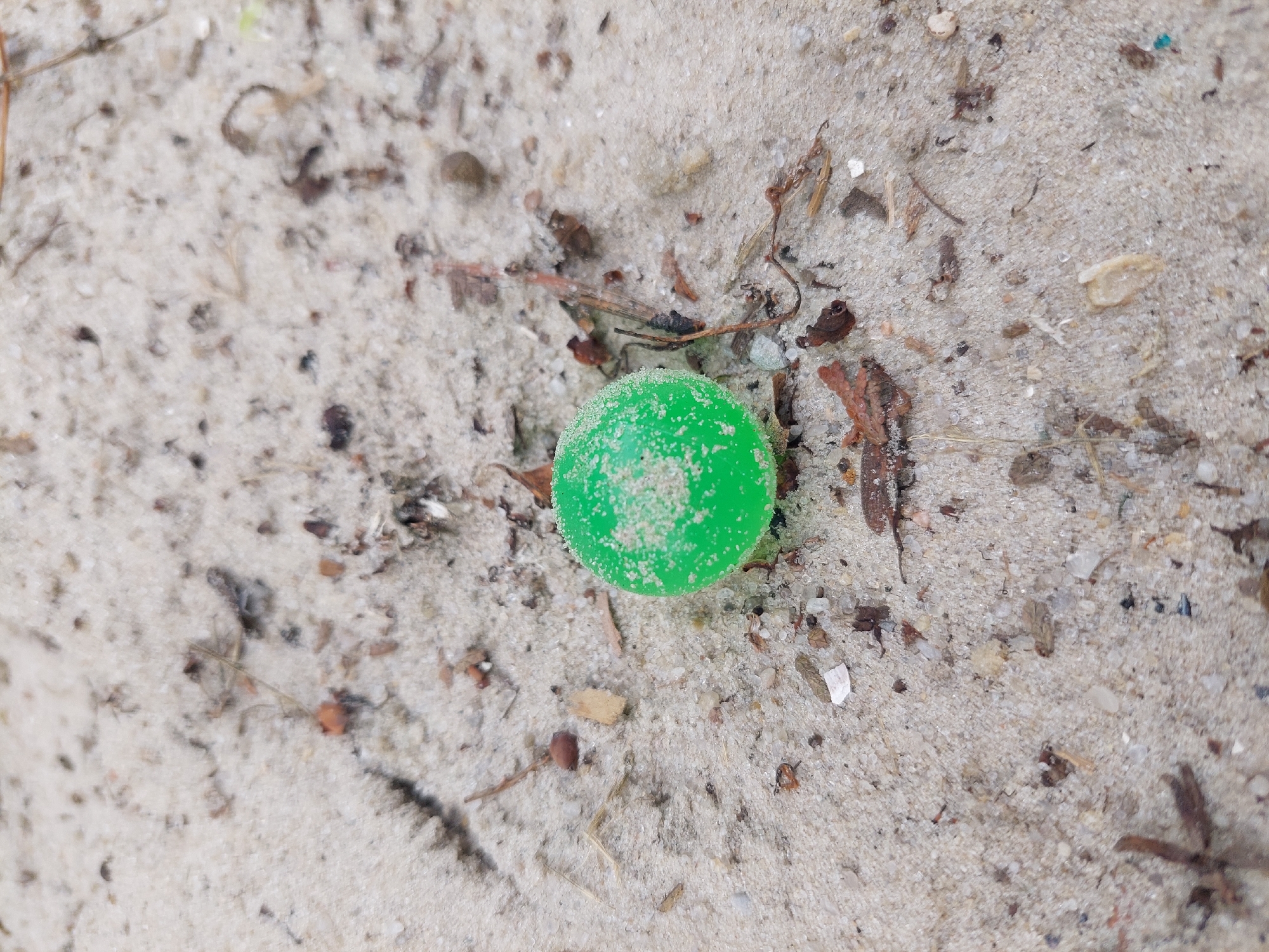 A bright green, spherical object, possibly a bead or small ball, rests on a sandy surface. The sand is light in color and appears to be mixed with small pebbles, shells, and organic debris such as dried leaves and twigs. The object is slightly textured and has a matte finish, with some lighter specks visible on its surface, possibly sand grains. The background is out of focus, but suggests more of the same sandy environment. This scene is located on the sandy banks of the river in the village of Alikonovka, Russia.