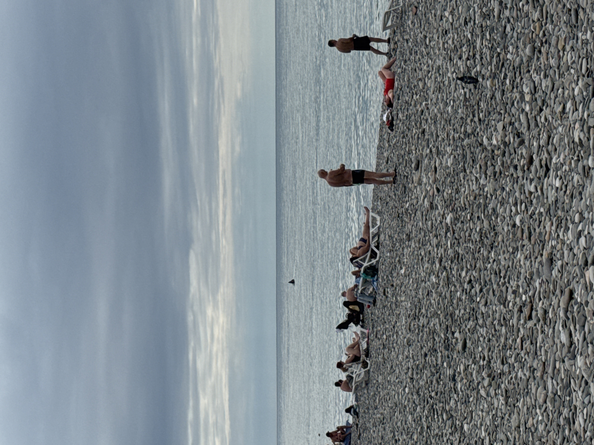 The image depicts a pebble beach on an overcast day, likely in Batumi, Georgia, given the distinct cloudy sky and the type of coastline. Several people are scattered across the beach. On the left, a group of individuals are seated on towels and lounge chairs. Further to the right, a man stands near the water's edge, while another man in black shorts stands further up the beach. A woman in a red swimsuit is lying on a lounge chair. In the distance, a dark fin, possibly of a dolphin or a similar marine creature, is visible breaking the surface of the calm, grey sea. The overall atmosphere is subdued due to the cloudy weather.