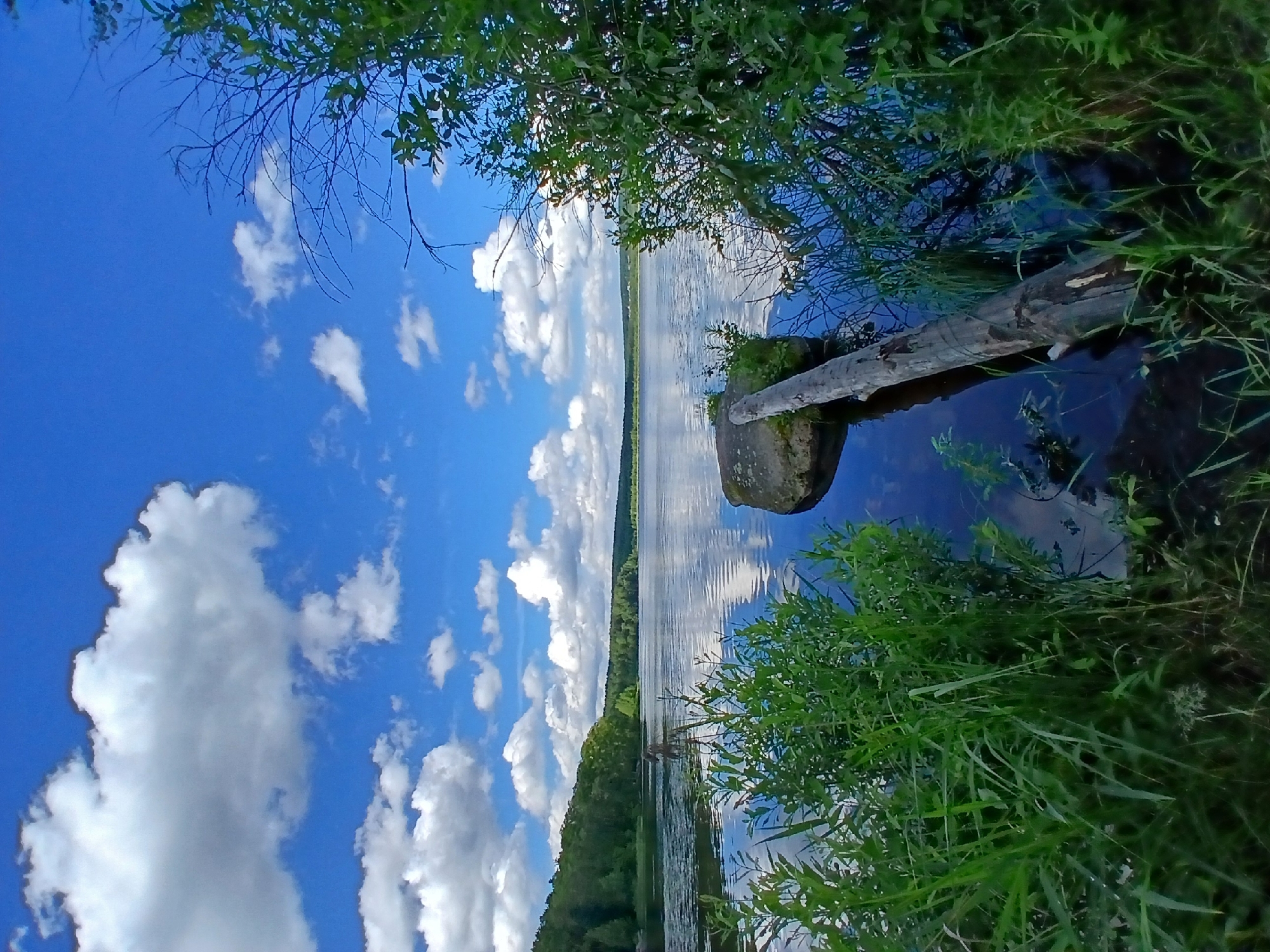 The image depicts a serene natural landscape with a body of water, lush vegetation, and a bright blue sky with scattered white clouds. A fallen tree trunk extends from the foreground into the water, resting on a rock. The water reflects the sky and surrounding greenery, creating a mirror-like effect. Tall grass and trees line the edge of the water, and a distant treeline forms the horizon. The scene appears to be a tranquil outdoor setting, possibly a lake or riverbank. The location in Yekaterinburg, Russia, is not discernible from the image itself.