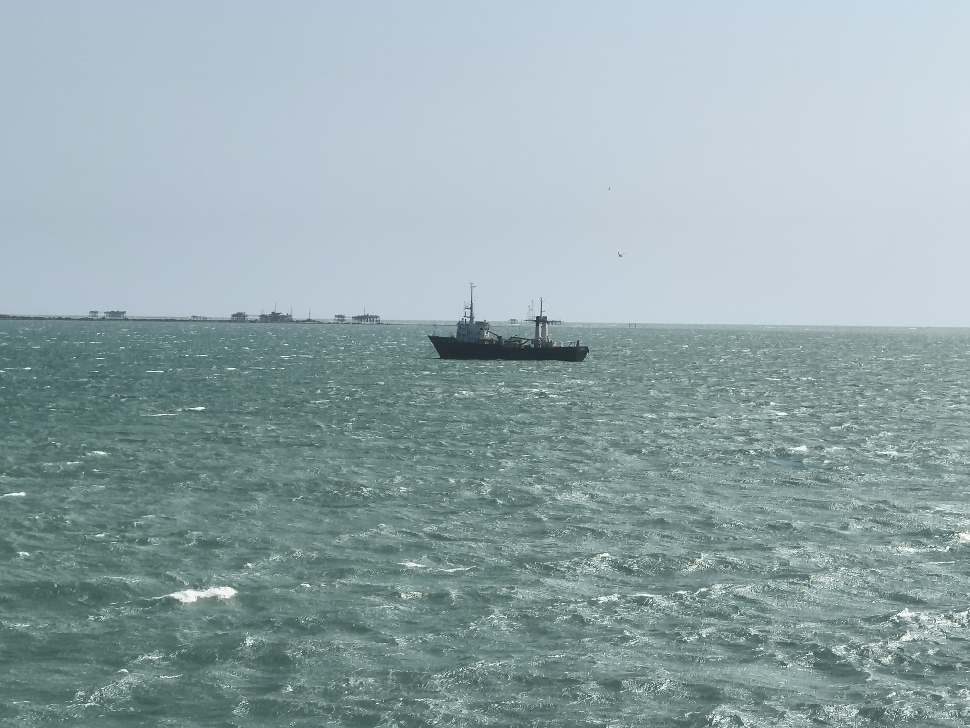 An offshore view shows a dark-hulled ship in the middle of choppy, teal-colored water. The ship is centrally located in the frame, with its bow facing towards the left. The horizon is visible in the distance, with several structures that appear to be oil rigs or platforms situated on a thin strip of land. The sky above is a pale, hazy blue with no clouds. Two birds are visible in the sky, one slightly higher and to the right of the other. The water exhibits a texture of small, white-capped waves. The scene suggests a maritime environment, possibly off the coast of Pirallahi Raion, Azerbaijan, given the presence of offshore structures commonly found in such regions.