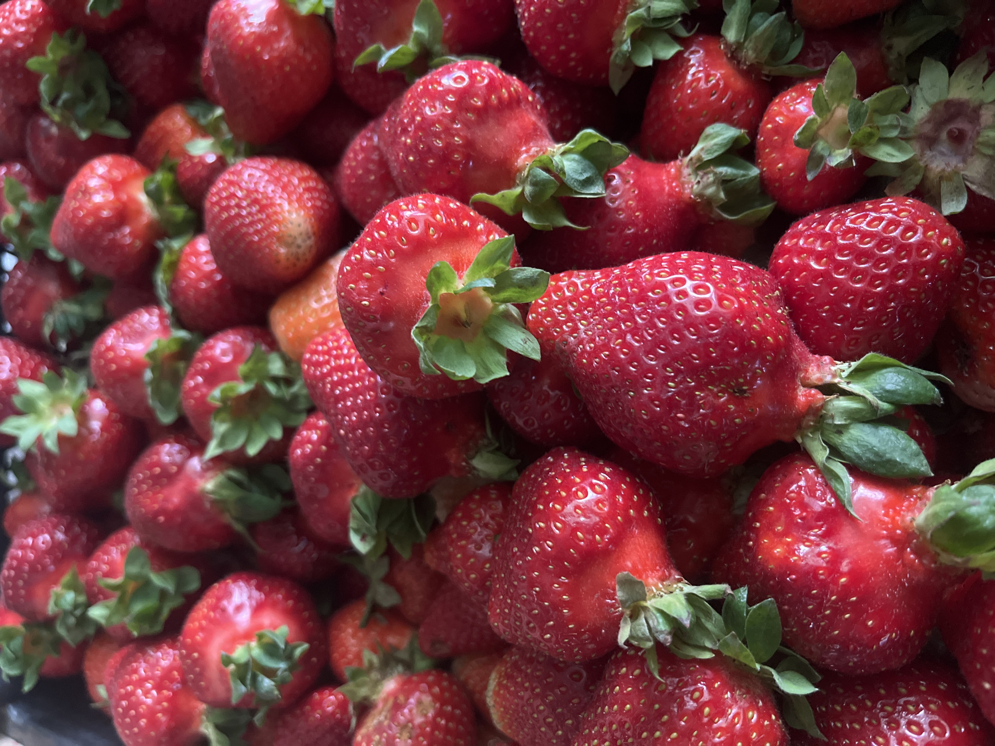 The image shows a close-up, overhead view of a large pile of ripe strawberries. The strawberries are predominantly bright red with visible seeds on their surface and green stems and leaves. They are densely packed, creating a textured surface. The lighting suggests an indoor setting, possibly a market or a home kitchen. There are no people or identifiable landmarks present. The image does not provide any information that would indicate a location in Krasnodar, Russia.