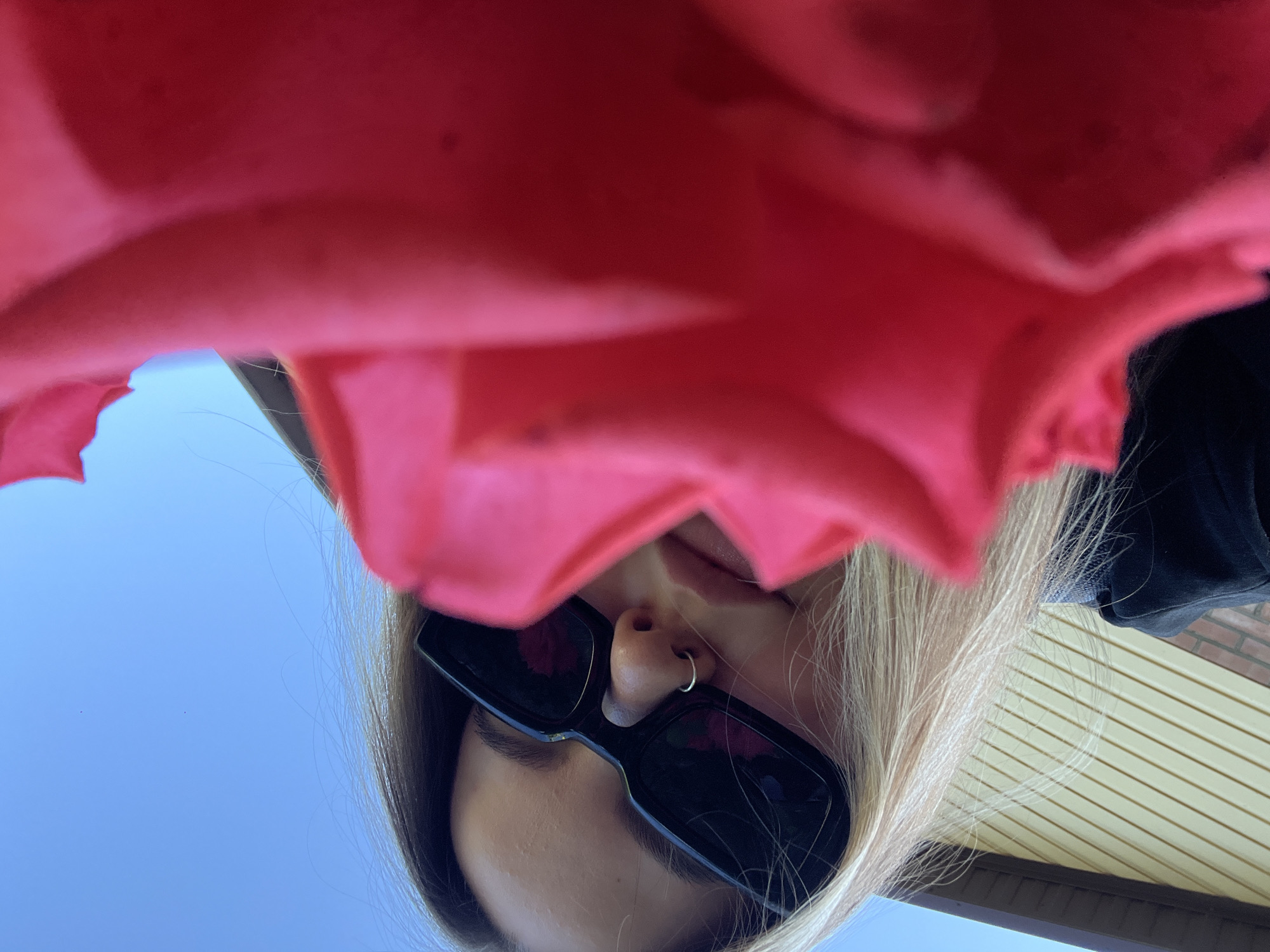 A young woman with blonde hair and dark sunglasses is captured in a low-angle, close-up shot. She is wearing a black top and has a nose ring. A bright pink rose petal dominates the foreground, obscuring much of the woman's face and torso. The background consists of a yellow, horizontally-paneled wall, part of a building, and a clear blue sky. The image appears to have been taken outdoors, possibly in a residential area of Novopokrovskaya, Russia, given the house siding.