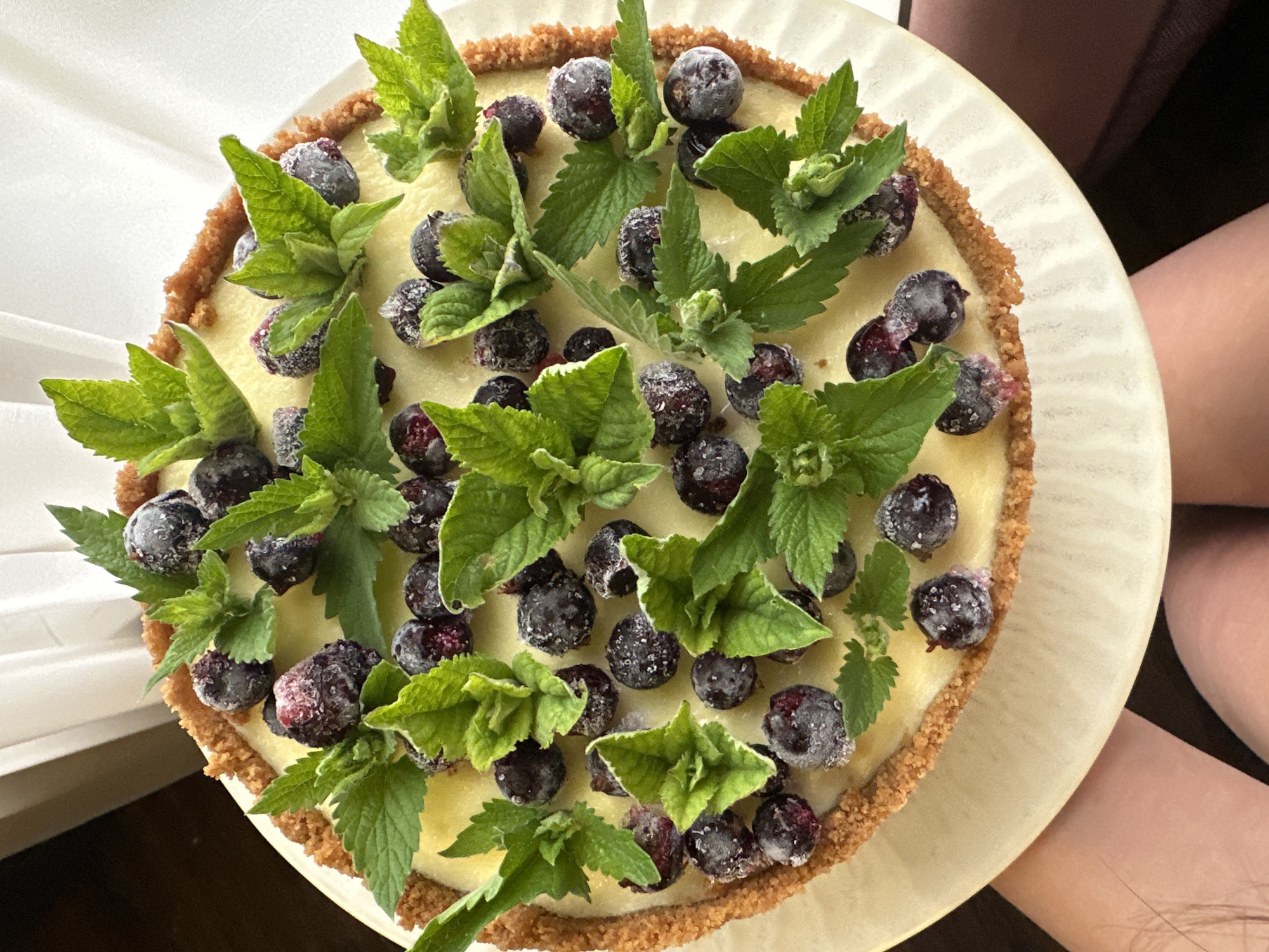 A circular dessert, resembling a tart or pie, is centrally positioned on a light-colored, possibly cream-toned, fluted plate. The dessert features a thick, golden-brown, granular crust encompassing a smooth, light yellow filling. Numerous dark blueberries, many exhibiting a frosted or sugared surface, are scattered across the filling. Interspersed among the blueberries are multiple sprigs of vibrant green mint leaves. The image is captured from an overhead perspective. In the background, to the right, a soft, bright white fabric or surface is visible. The lower portion of the image reveals the top of a person's thighs or knees, indicating the plate is being held or rested on a person.
