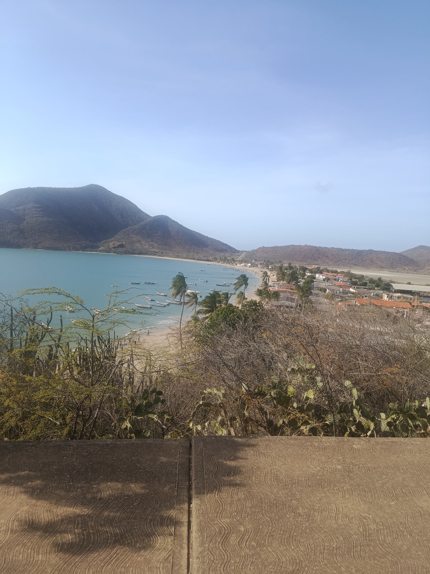 The image presents an elevated view of a coastal scene in Juan Griego, Venezuela. In the foreground, a textured concrete barrier or ledge dominates. Above this, a dense collection of drought-tolerant vegetation, including cacti and various shrubs, obscures some of the view.
Beyond the vegetation, a bay stretches into the distance, bordered by a sandy beach. Several small fishing boats are anchored in the water, clustered near the beach. Palm trees are scattered along the shoreline, interspersed with buildings of a town.
The landscape transitions to barren hills in the background under a clear, light blue sky. A large, prominent mountain is visible on the left side of the bay, with smaller hills extending towards the right. The buildings appear to be small residential structures with reddish-orange roofs. The overall scene suggests a dry, arid climate.