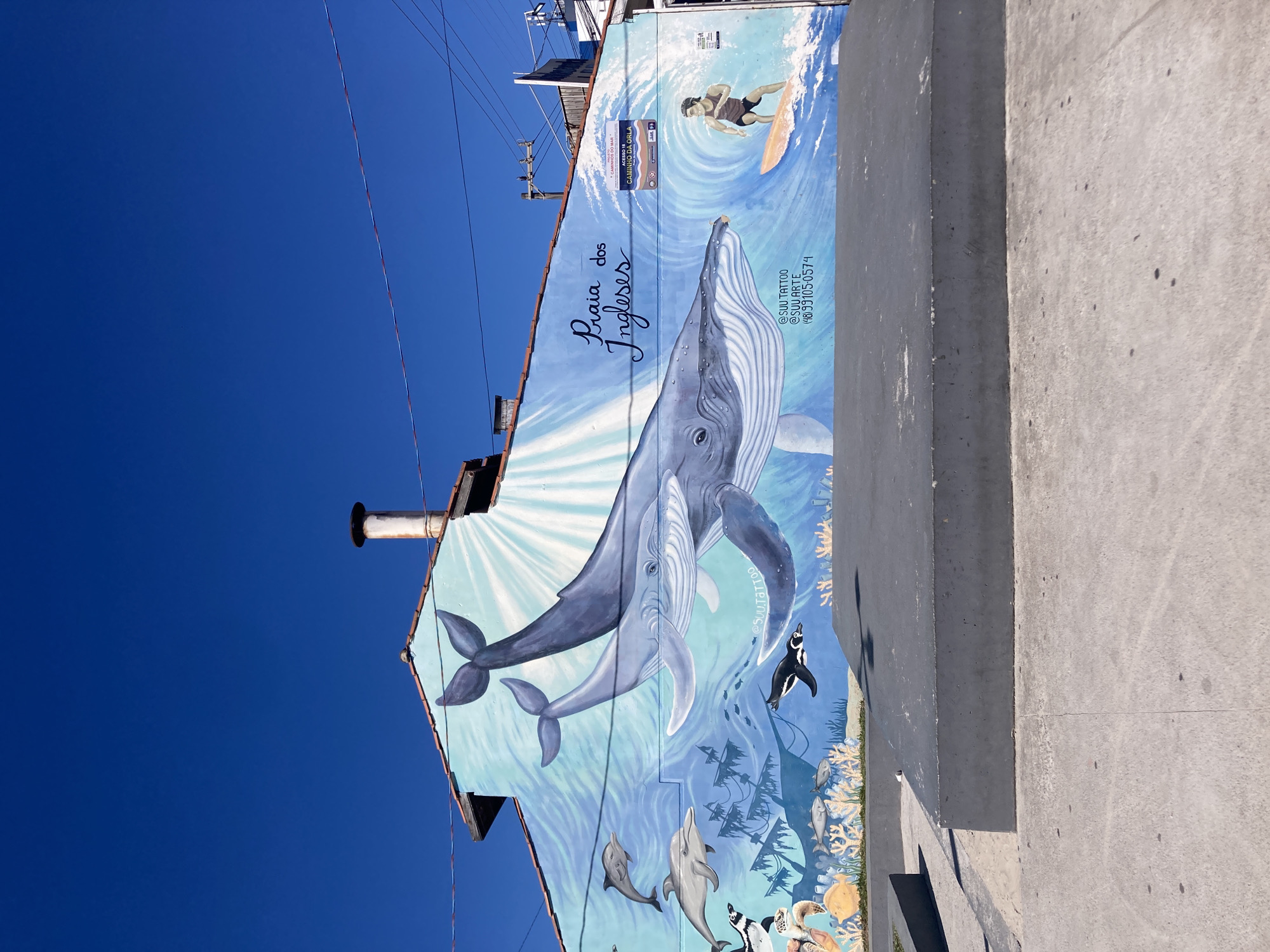 The image shows a mural on the side of a building in Florianópolis, Brazil. The mural depicts marine life, including whales, dolphins, and penguins. The words "Praia dos Ingleses" are written on the building above the whales, indicating the mural's location. The mural also contains the text "CAMINHOS DO MAR ACESSO 18 CAMINHO DA ORLA". The text "@SUUTATTOO @SUU.TATTOO @SUU.ARTE (48)99105-0574" is located on the right-hand side. The mural also depicts a surfer. The sky is blue. The side of a concrete structure is visible to the right of the mural. Electrical wires are visible against the blue sky.
