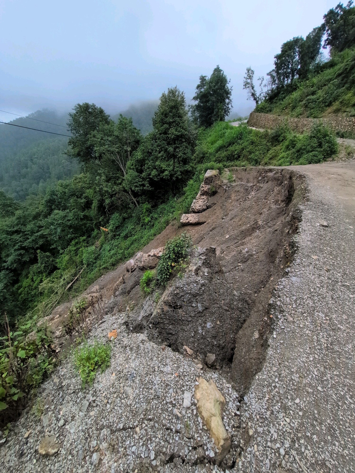 The image shows a landslide on a rural road in Kapurkot, Nepal. The road is made of gravel and dirt, and the landslide has caused a significant portion of the road to collapse, creating a large chasm. The surrounding area is covered in lush green vegetation and trees, with a misty fog obscuring the distant hills. There are no people or vehicles visible in the image. The landslide appears to have occurred recently, with loose soil and rocks still visible on the slope. A wire mesh barrier is partially visible at the edge of the collapsed section, likely an attempt to stabilize the road.