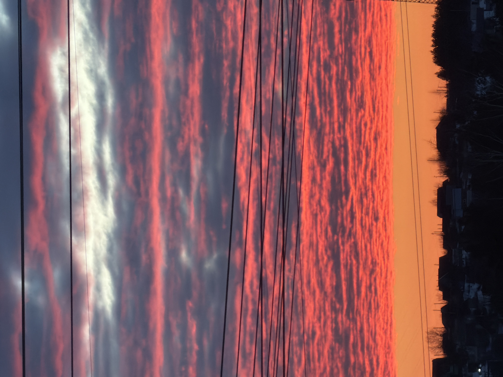 The image captures an outdoor scene in Chaikovsky, Russia, during either sunrise or sunset. The upper two-thirds of the frame are dominated by the sky, featuring distinct horizontal cloud stratification. The topmost clouds are predominantly grey and dark grey, with a notable horizontal band of white cloud appearing below them. Further down, numerous elongated, irregular clouds are illuminated with intense red and orange hues. The lowest segment of the sky, immediately above the horizon, displays a solid band of bright orange transitioning to red.
Multiple dark, thin utility lines, presumably power or communication cables, are horizontally strung across the mid-section of the sky, silhouetted against the colored clouds.
The lower third of the image shows a dark silhouette of a landscape at the horizon. This silhouette comprises numerous low-rise residential buildings with discernible rooflines, several bare deciduous trees interspersed among the structures, and a denser cluster of evergreen trees or foliage on the right side. A partial lattice-like structure, possibly a transmission or communication tower, is visible as a silhouette on the far right edge of the horizon. No people are visible in the scene.