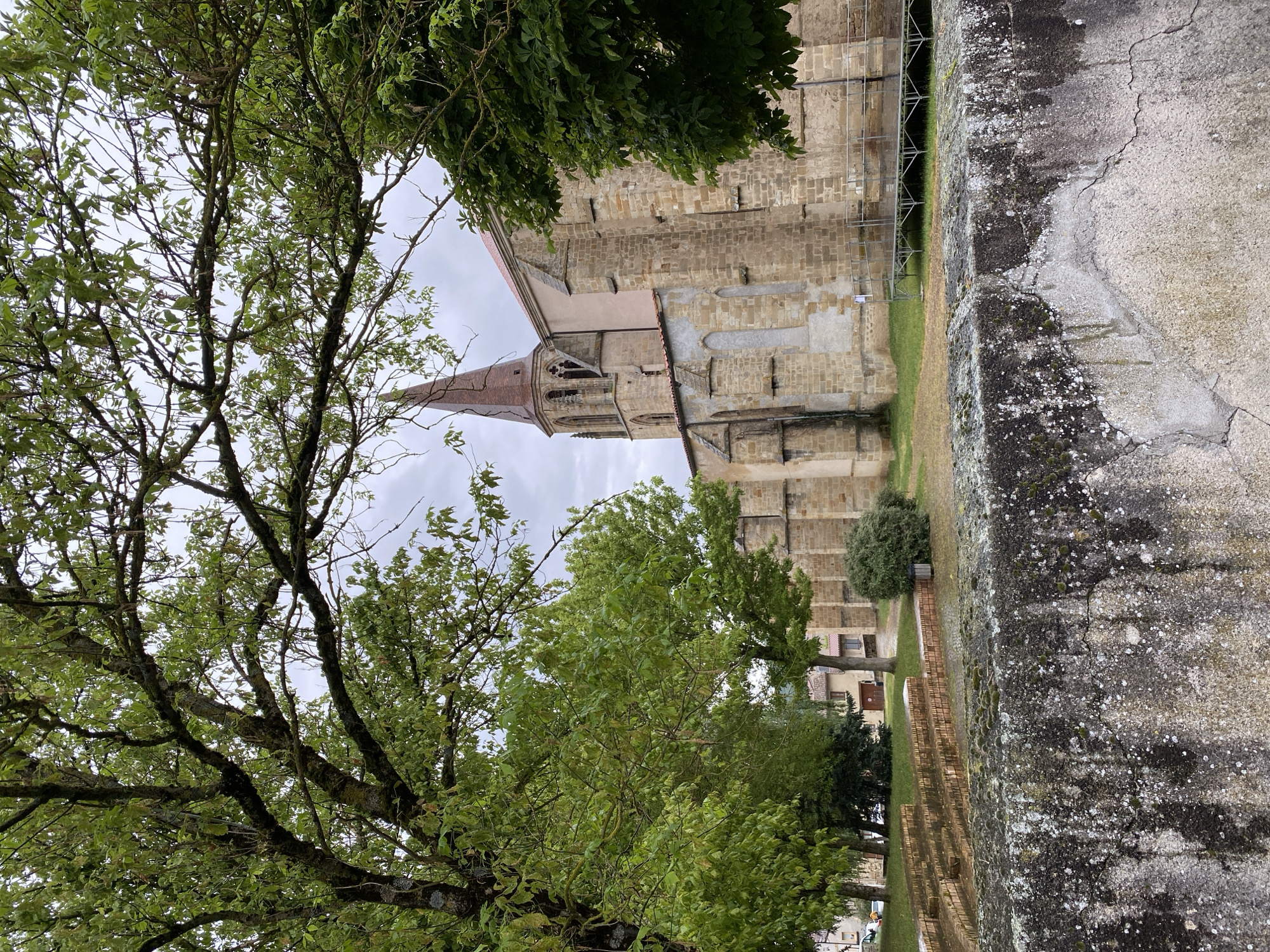 This image captures an outdoor scene in Billom, France, dominated by an ancient stone church under an overcast sky. In the foreground on the left, a large, mature tree with abundant green foliage and moss-draped branches frames the view.
The central subject is a historic church, constructed from light-toned, rectangular stone blocks. It features a distinctive spire topped with reddish-brown tiles, beneath which are arched windows. Scaffolding is visible along a section of the church's facade, indicating ongoing maintenance or restoration work.
To the right, a rugged, weathered stone wall extends across the frame. This wall shows signs of age, with visible cracks, dark stains, and patches of white and green lichen and moss. Beyond the wall and the church, patches of green grass, smaller trees, and other traditional-looking buildings with tiled roofs are faintly visible in the background.
The sky is uniformly overcast, suggesting daytime without direct sunlight. The scene appears quiet and devoid of active human presence. The overall impression is one of historical charm and tranquility. No discernible text is visible within the image.