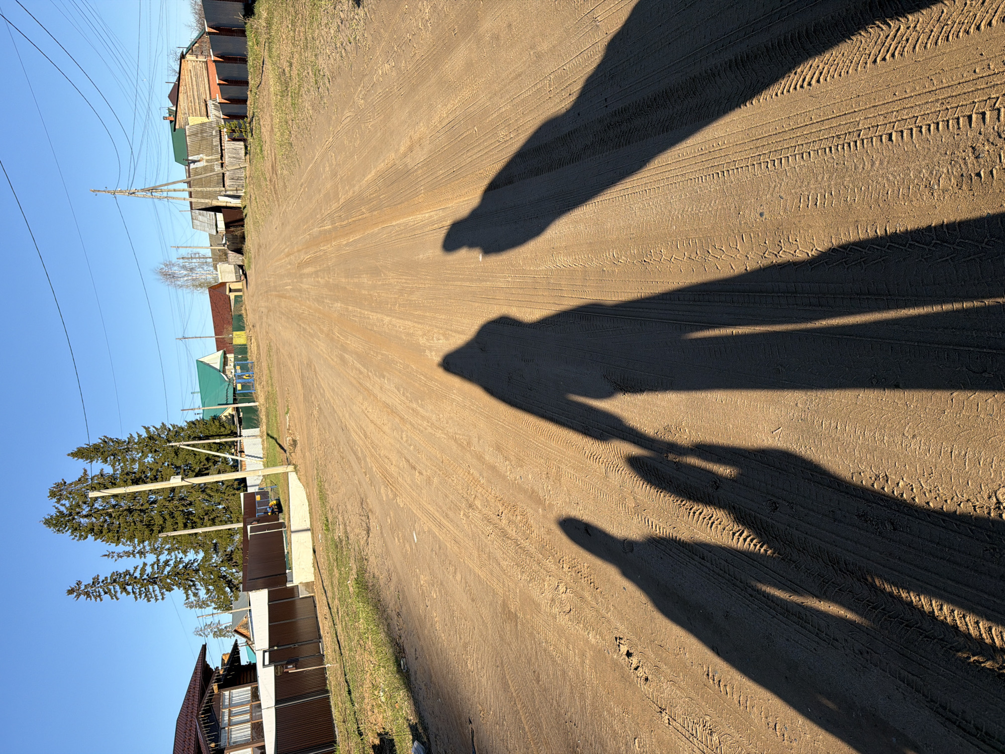 The image presents a perspective view down a long, unpaved dirt road in Chaikovsky, Russia, bathed in the clear, bright sunlight of either early morning or late afternoon. The light brown road surface is visibly textured with numerous tire tracks and some footprints. Several distinct, elongated shadows of people are cast across the road from the right side, suggesting at least three or four individuals are walking or standing nearby.
Residential houses line both sides of the road, displaying varied architectural styles, construction materials, and roof colors, some with fences. On the left side, several tall, coniferous trees stand out against the clear blue sky, while patches of green grass grow alongside the road. A network of utility poles and overhead power lines runs parallel to the road, connecting to the residences. The absence of clouds and the low sun angle creating long shadows contribute to a serene, semi-rural or suburban atmosphere. No visible text is present in the image.