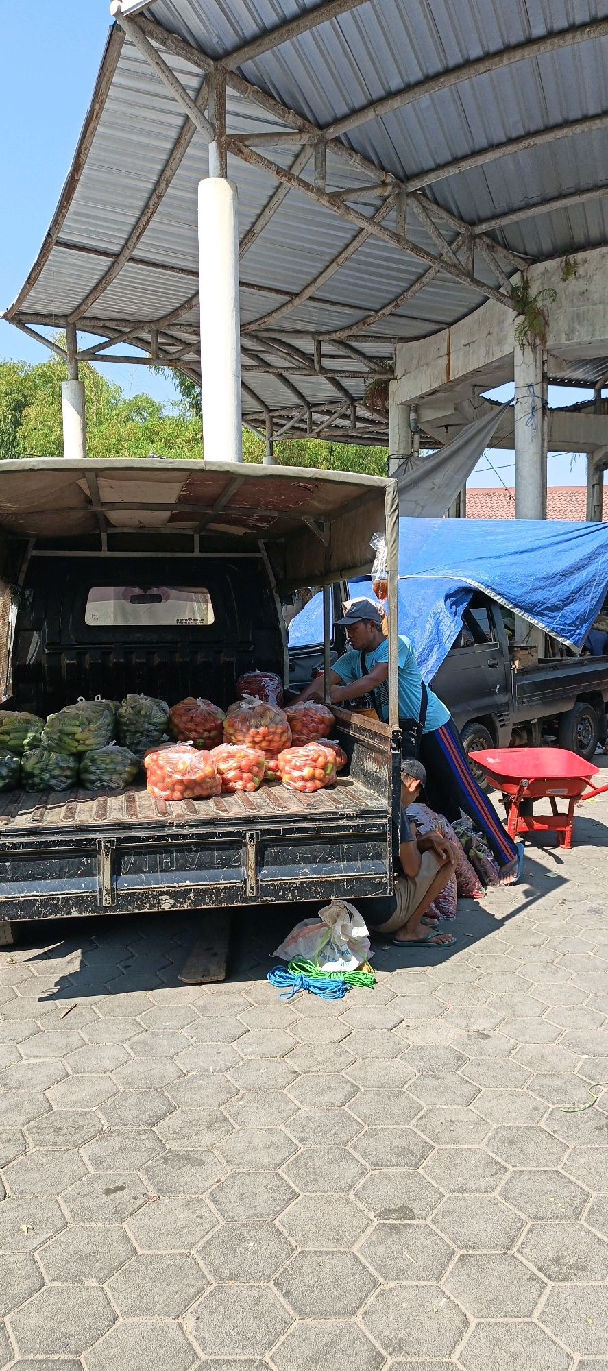 The image depicts an outdoor market scene under a metal-roofed structure, likely in Klaten, Indonesia. A black pickup truck is positioned with its rear end facing the viewer, loaded with bags of produce, primarily tomatoes and what appear to be cucumbers or gourds. A man wearing a blue shirt and a cap is leaning into the truck, appearing to be engaged in selling or arranging the produce. Another person, partially obscured, is seated on the ground near the truck, wearing neutral-colored clothing. In the foreground, coiled ropes of blue and green lie on a hexagonal paver stone surface. To the right, a red wheelbarrow is visible. The background shows more of the market structure and trees. The lighting suggests a sunny day.