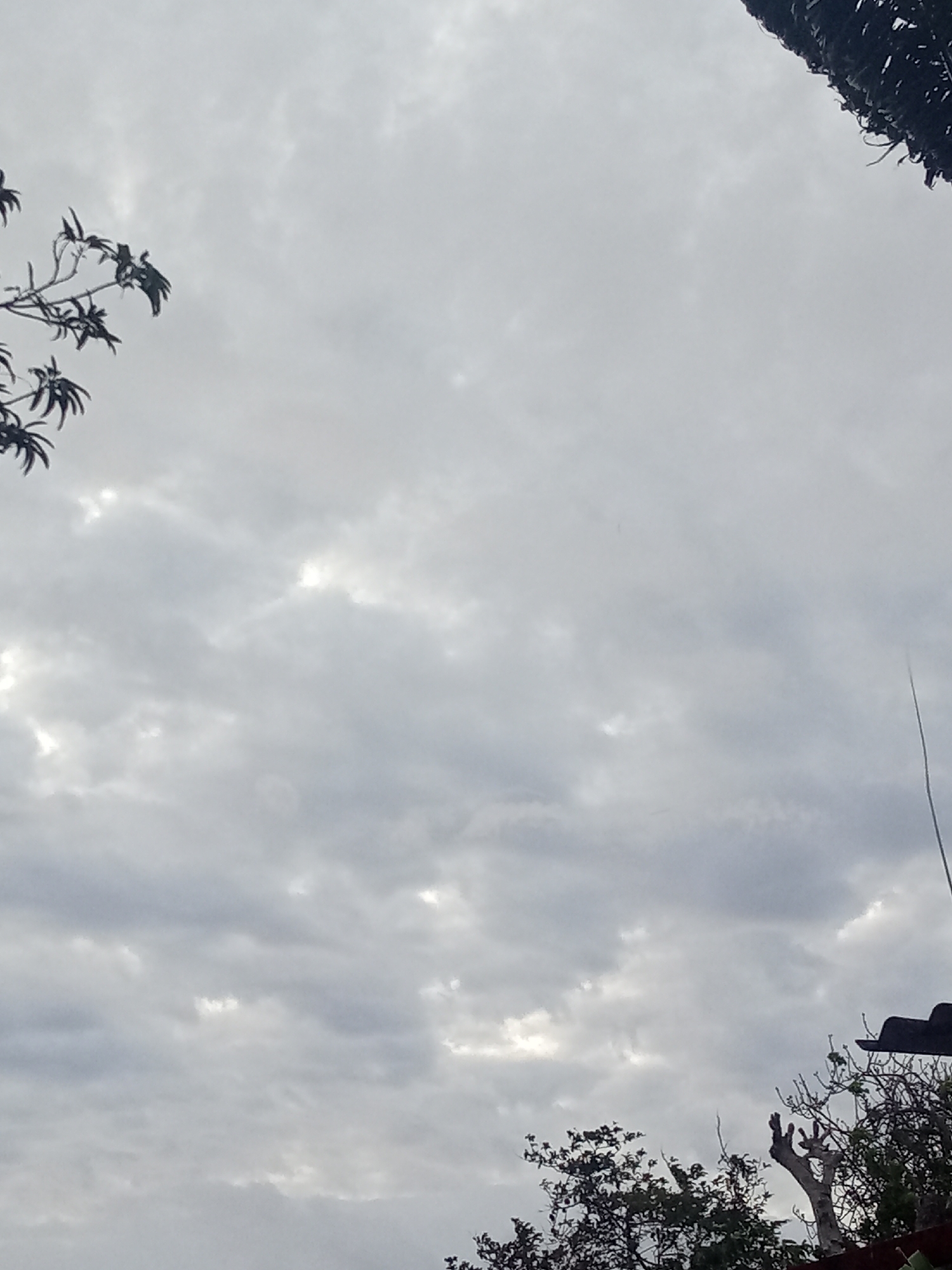 The image depicts a cloudy sky above Juan Griego, Venezuela. Trees are visible in the foreground, as well as what appears to be the edge of a roofline.