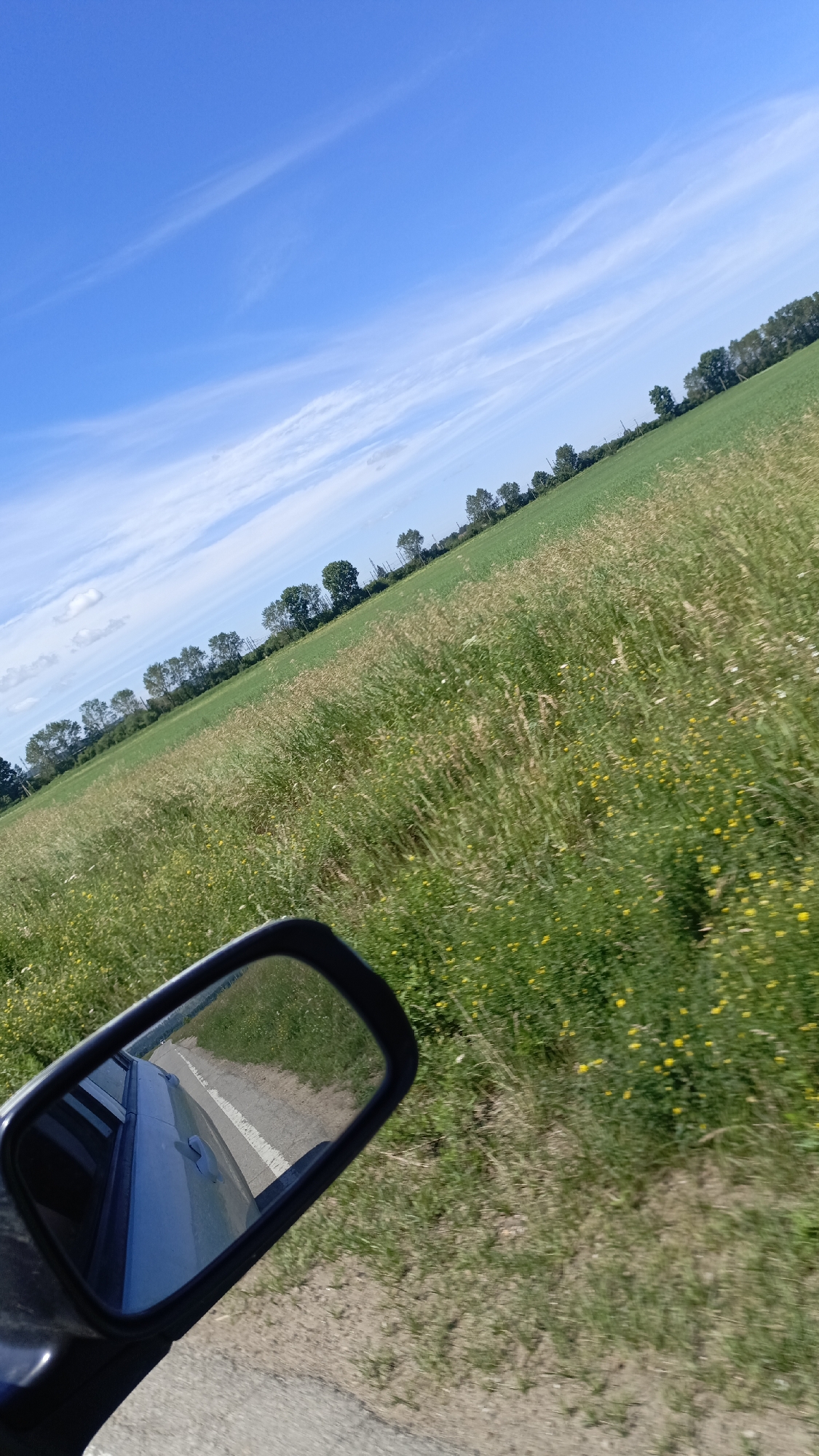 The image shows a view from a car traveling through a rural area, possibly in Meget, Russia, as indicated by the provided hint. The perspective is from the passenger side, with a side-view mirror in the foreground reflecting the road and the side of a blue car. Beyond the car, a vast green field stretches towards a line of trees in the distance. The sky is a vibrant blue with wispy white clouds. The field appears to be a mix of taller grasses and smaller yellow wildflowers. The road is paved and has a white line marking the edge. The overall impression is of a sunny day in the countryside.