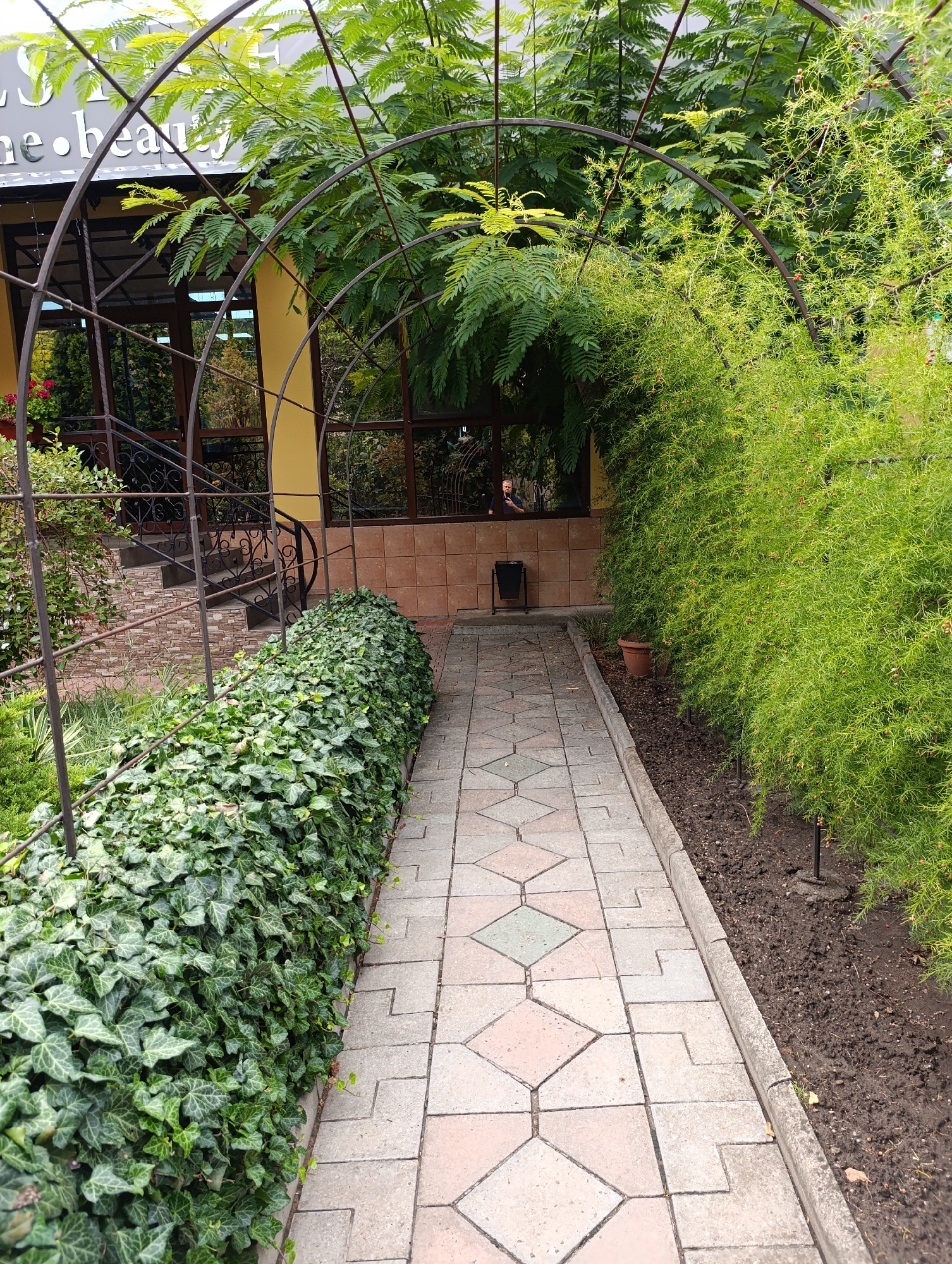 The image shows a pathway lined with ivy on the left and a dense green plant on the right, leading under a metal archway covered in foliage. The pathway is paved with hexagonal and square tiles in shades of gray, pink, and light green. A building with yellow walls and windows is visible behind the ivy. In the background, a staircase with a decorative metal railing leads up to the building. A dark trash can is situated near the building entrance. The scene appears to be an outdoor area, possibly a garden or courtyard, outside a commercial establishment in Dubăsari town council, Moldova, as indicated by the signage on the building which partially reads "ne.beaut".