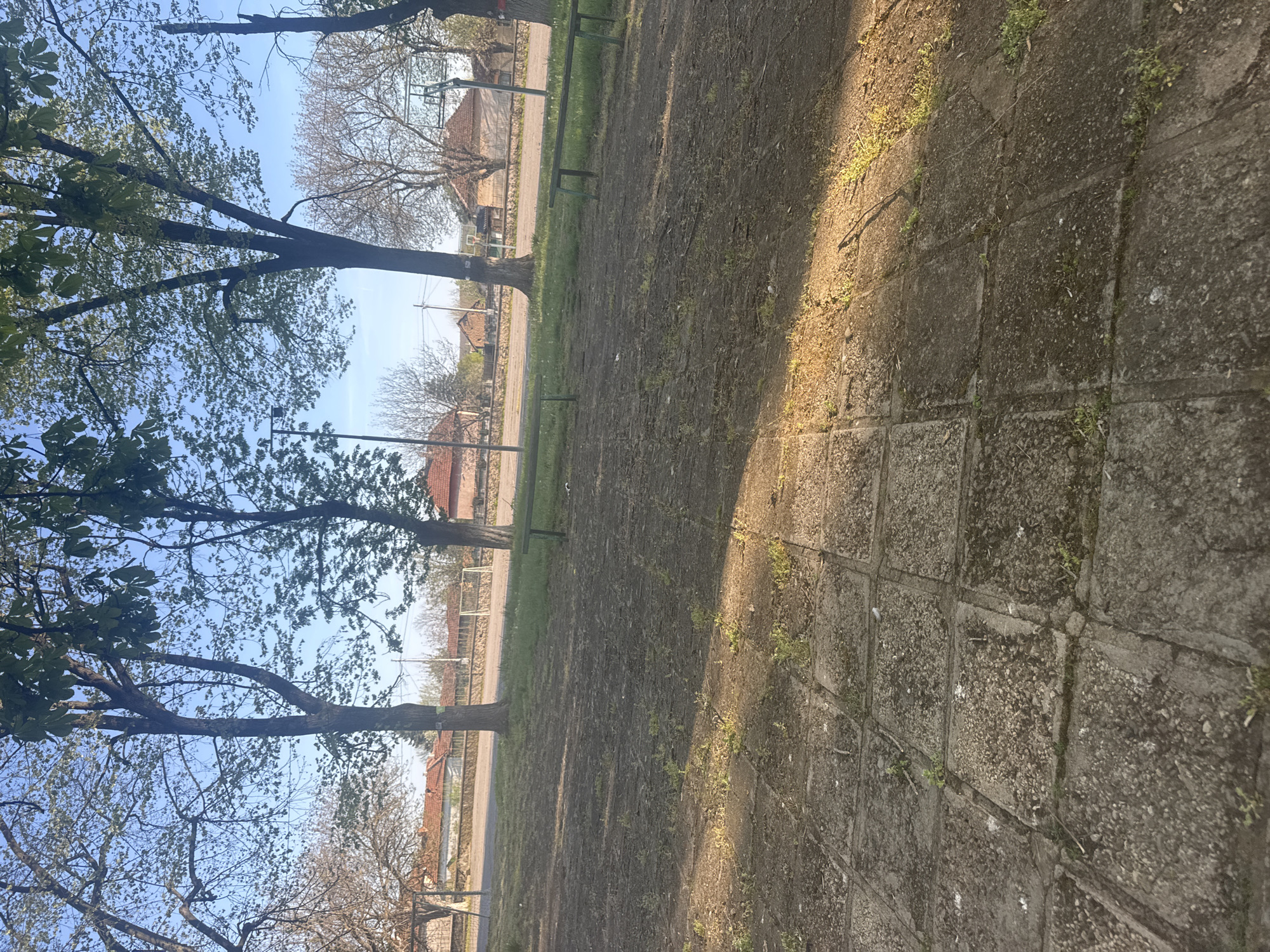 The image shows a park or open area in Lehchevo, Bulgaria. The foreground consists of a paved path with square concrete blocks, some with vegetation growing in the cracks. To the left, there are trees with partial foliage reaching into a blue sky. In the middle ground, there's a grassy area with a few wooden benches. Further back, some houses are visible with red-tiled roofs. A football goal is observed in the background. The scene is partially lit by sunlight casting a shadow across the right side of the path.