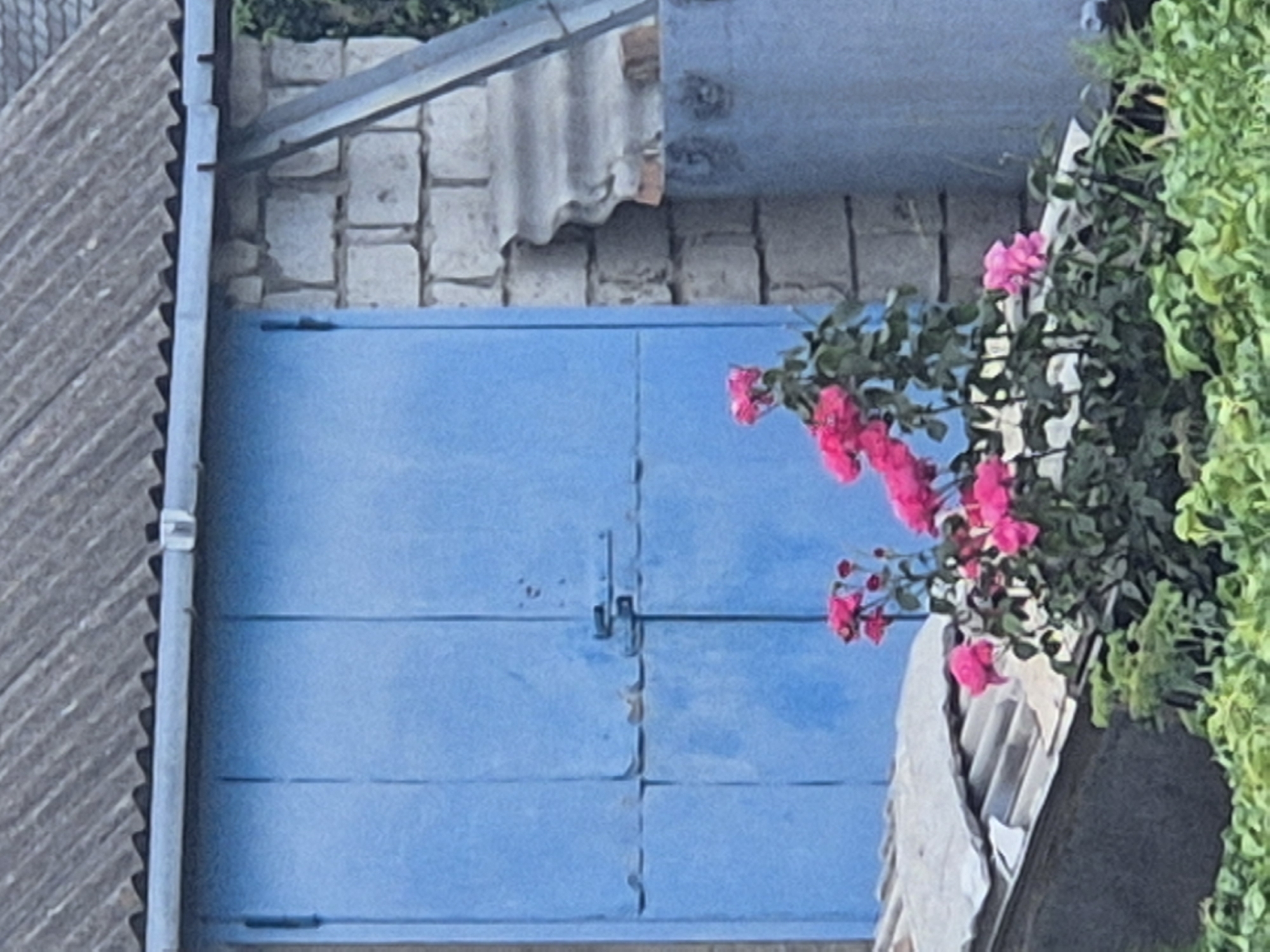 This image captures a close-up view of a blue, double door, likely part of a shed or garage, set against a backdrop of a stone wall and a corrugated roof. In the foreground, a cluster of vibrant pink roses with green foliage blooms, adding a splash of color to the scene. The overall setting suggests an outdoor, possibly rural, environment. The precise location within Sozonivka, Ukraine, cannot be determined from the visual information alone.