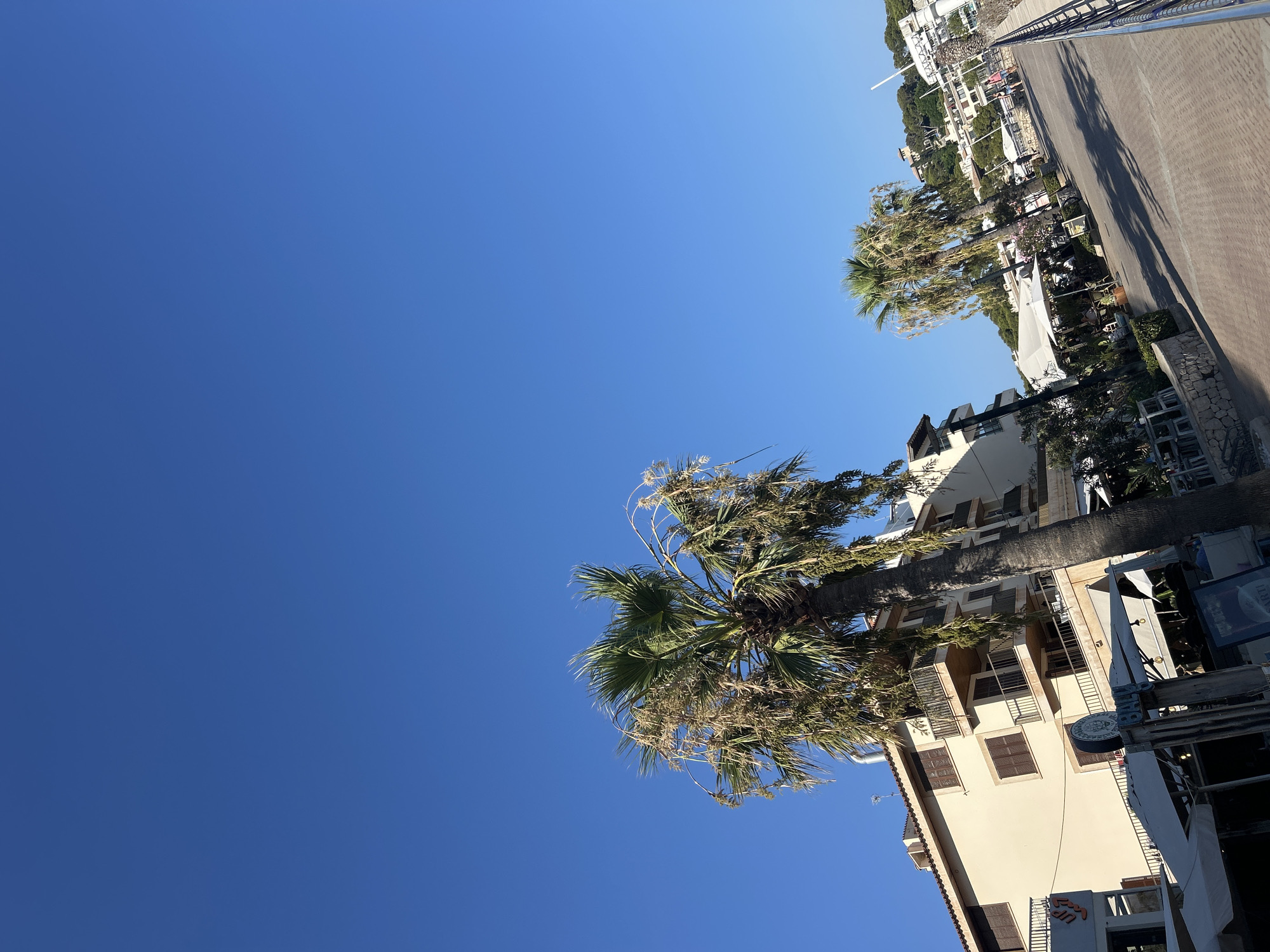 An eye-level, full shot captures a sunlit promenade in Cala Rajada, Spain, under a clear, deep blue sky. The foreground features a paved walkway with a silver metal railing along its right edge. To the left, a beige building with multiple balconies and dark brown shutters is visible, alongside a prominent palm tree with drooping fronds. Further down the promenade, several outdoor seating areas with white umbrellas suggest a restaurant or cafe setting. A second, smaller palm tree stands further back, and beyond that, a line of buildings and lush green hills are visible in the distance. The scene is characterized by strong shadows cast by the buildings and trees, indicating a bright, sunny day.