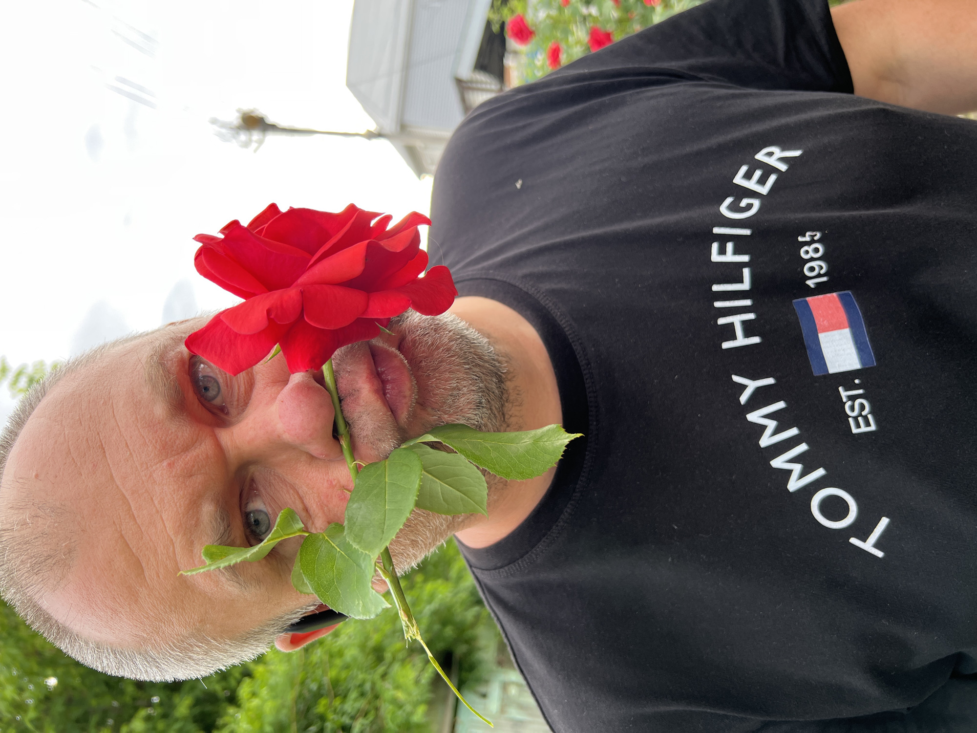 A middle-aged man with gray hair is holding a red rose in his mouth. He is wearing a black Tommy Hilfiger t-shirt. The location appears to be outdoors, possibly a garden, with green foliage visible in the background. There are also roses in the background. The photo was taken at an angle. There is no indication that this image was taken in Krasnodar, Russia.