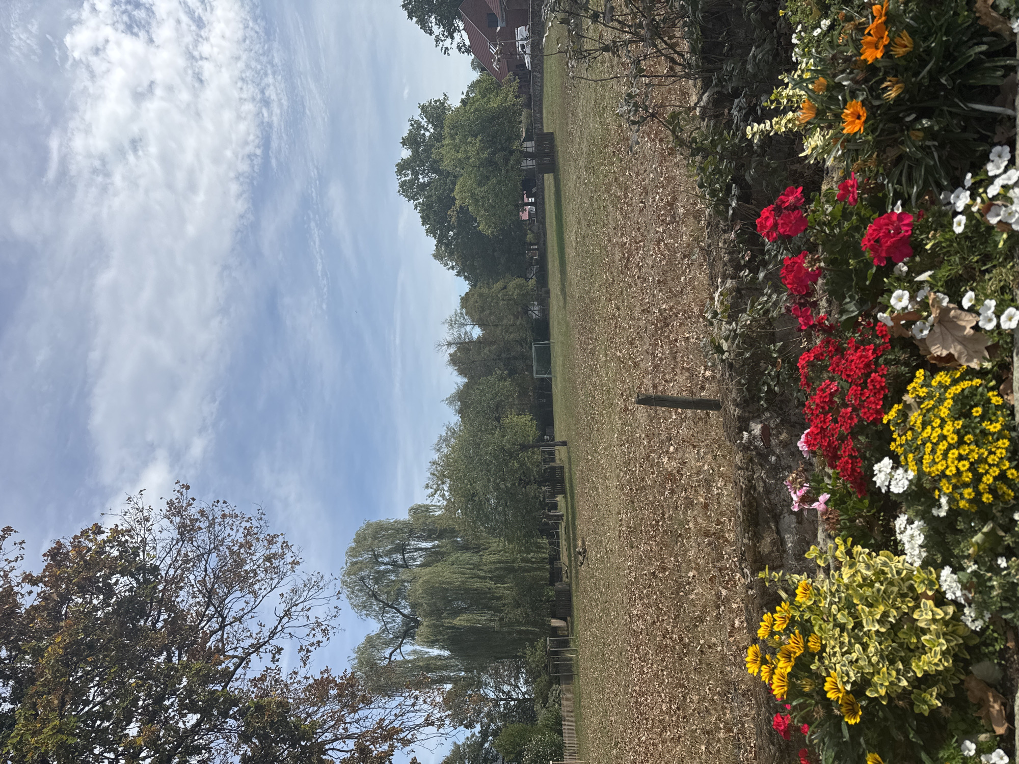 The image depicts a park-like scene, possibly located in Rheine, Germany, during autumn. The foreground features a stone wall with an assortment of colorful flowers, including yellow, red, white, and orange varieties. Behind the wall, a large grassy field is covered with fallen brown leaves, indicating the season. In the middle ground, several trees are visible, including a prominent weeping willow. A wooden fence and some playground-like structures are also present. Further in the background, more trees form a dense line, and a soccer goal can be seen on the left. Buildings with red tile roofs are situated on the right side of the image, with vehicles parked nearby. The sky is blue with scattered white clouds. No people are visible in the scene.