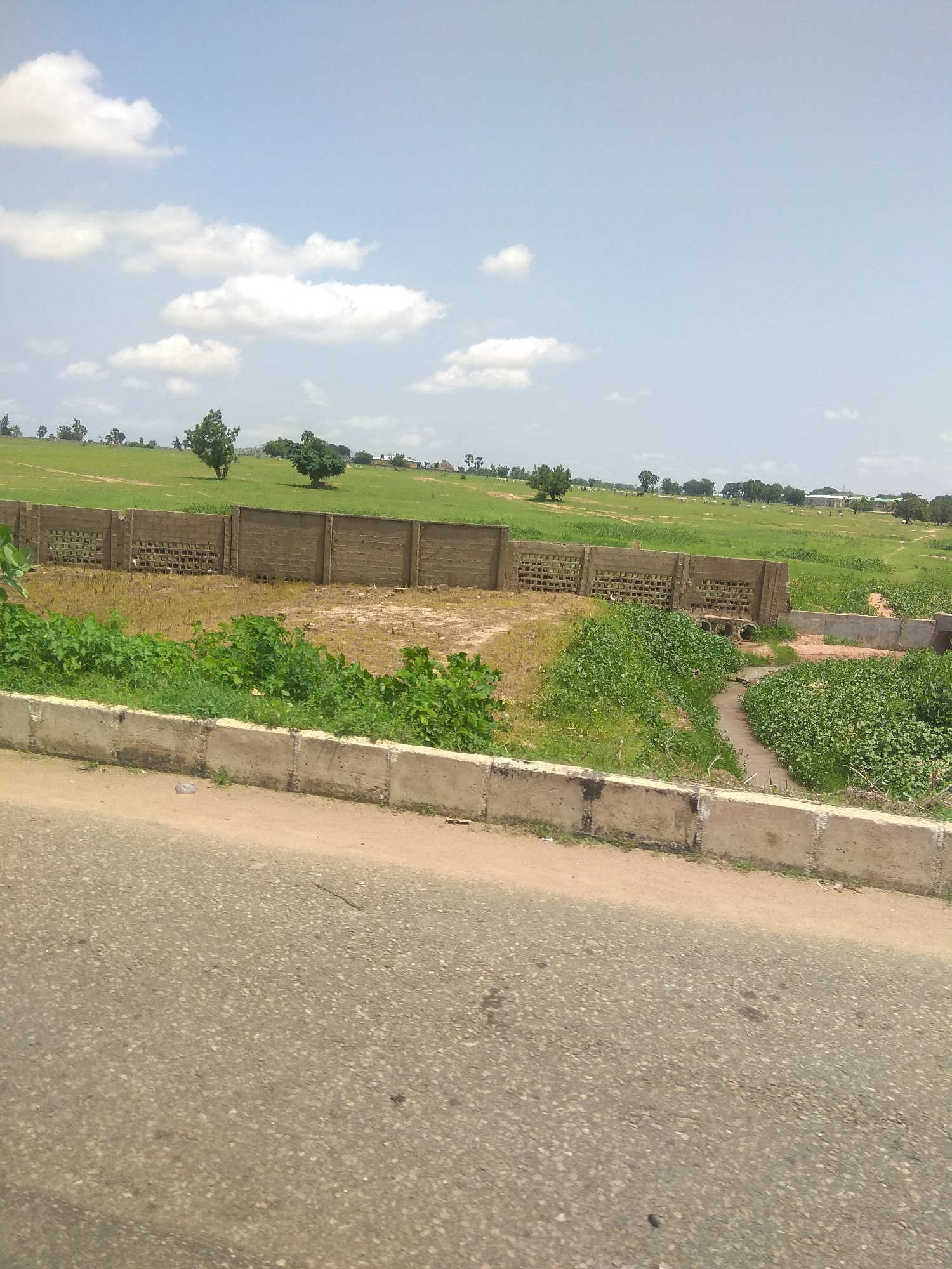 The image depicts a landscape in Jalingo, Nigeria, with a paved road in the foreground. Beyond the road, a concrete barrier separates it from a plot of land containing dry grass and some green vegetation. A low, patterned brick wall runs along the boundary of this plot, enclosing it. Behind the wall, a vast expanse of green fields stretches into the distance, dotted with scattered trees and some structures that appear to be buildings. The sky is blue with scattered white clouds. The overall impression is one of an undeveloped or developing area on the outskirts of a city.