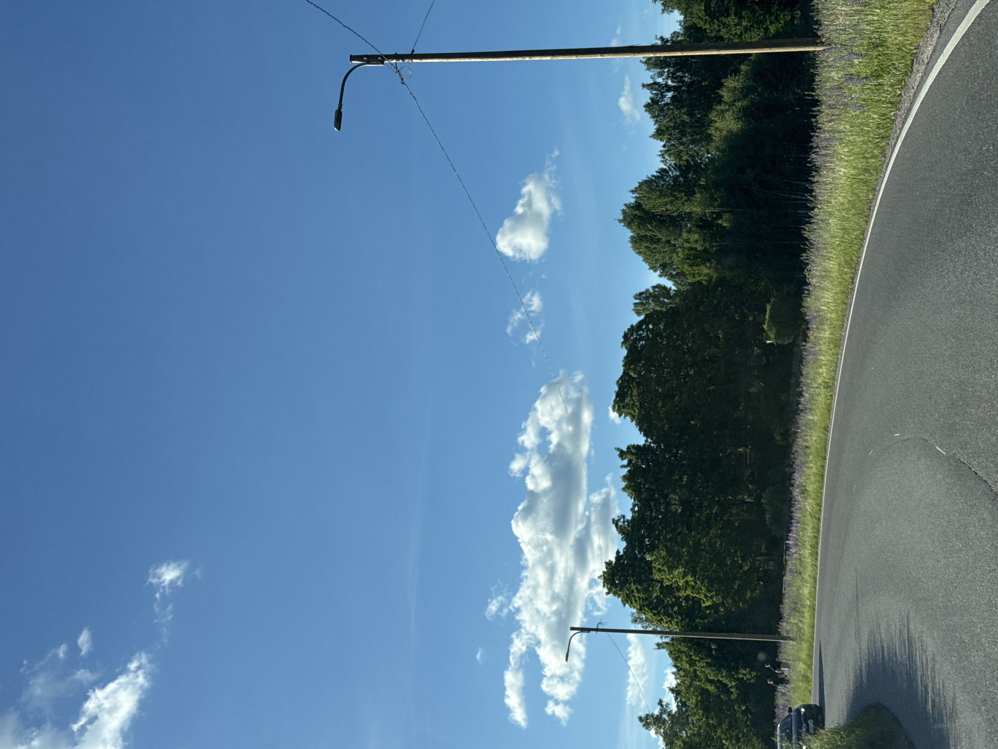 A car is turning onto a paved road that curves to the right. The road has a white line marking its edge. In the distance, a line of trees forms a border between the road and a field of green grass and purple flowers. Two streetlights are visible on the side of the road. The sky above is a clear blue with scattered white clouds.
