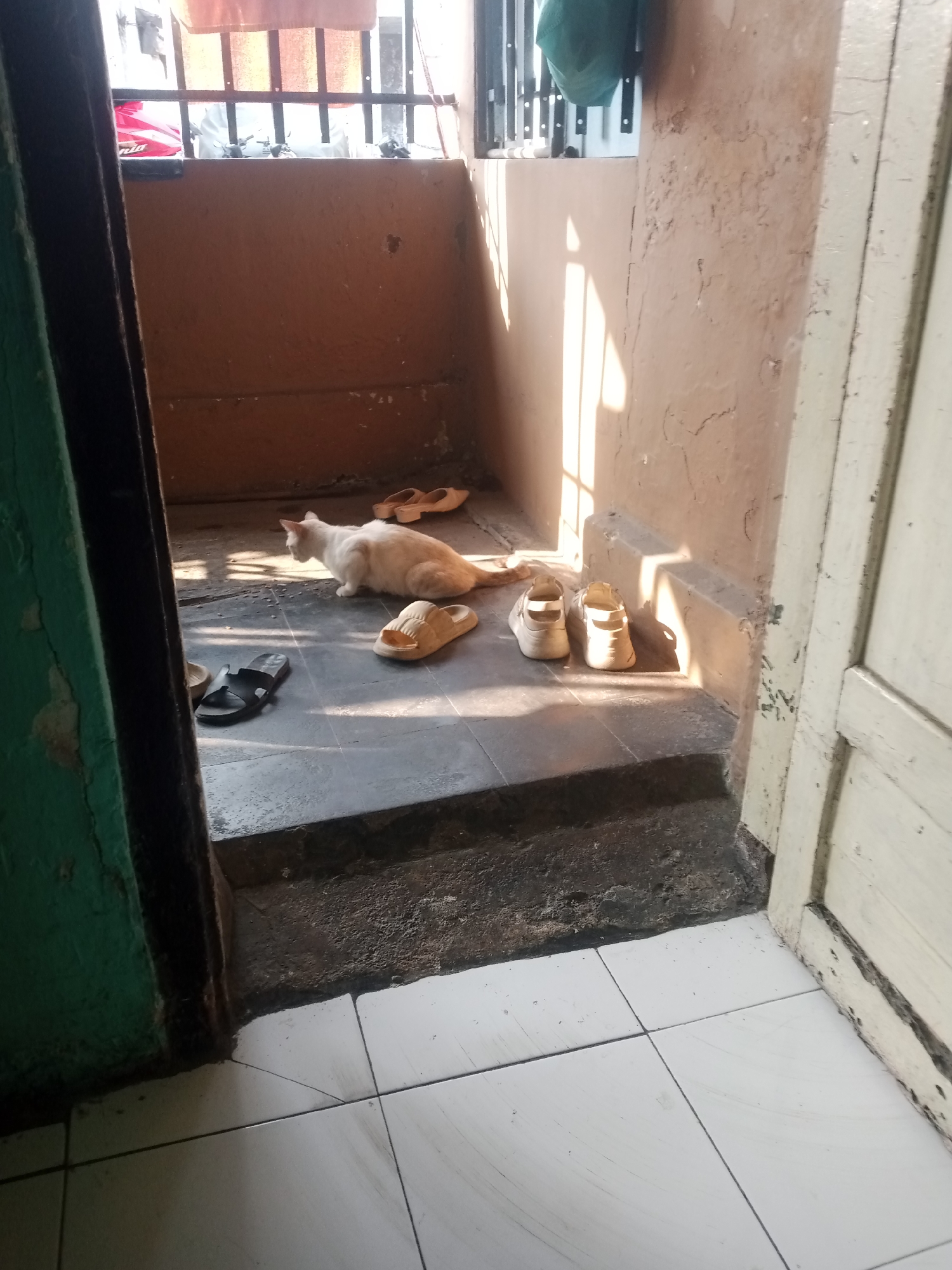 The image depicts an outdoor balcony or patio area. In the foreground, a white cat is lying on the floor, looking to its left. Several pairs of sandals are scattered around the cat, including a black pair of flip-flops and two pairs of beige slip-on sandals. The floor is tiled with dark gray tiles. In the background, there is a wall with peeling paint and a metal railing. Sunlight streams in from the right, casting shadows on the wall and floor. A green object, possibly a bag or fabric, is hanging near the top of the railing. The scene appears to be from a residential area in Tasikmalaya, Indonesia, given the architectural style and common outdoor living spaces found in the region. The overall impression is of a quiet, domestic setting.