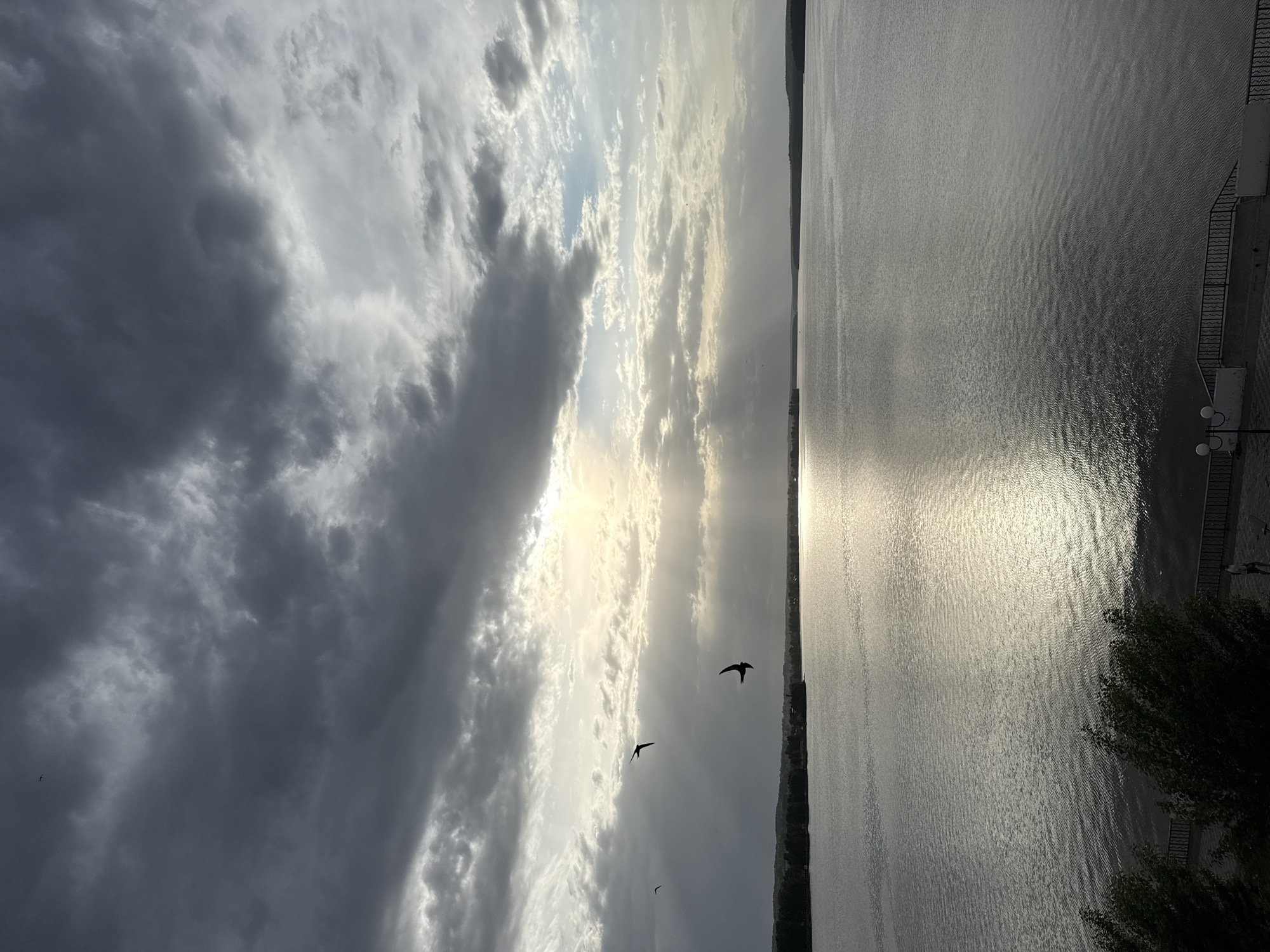 The image depicts a body of water, likely a reservoir, reflecting sunlight. On the left, storm clouds fill a significant portion of the sky, contrasting with patches of light breaking through the clouds. Several birds are visible in flight. On the right, a section of a waterfront promenade is visible, complete with a railing and lampposts. Vegetation is present in the foreground. Given the location of the image, it is likely the Votkinsk Reservoir.