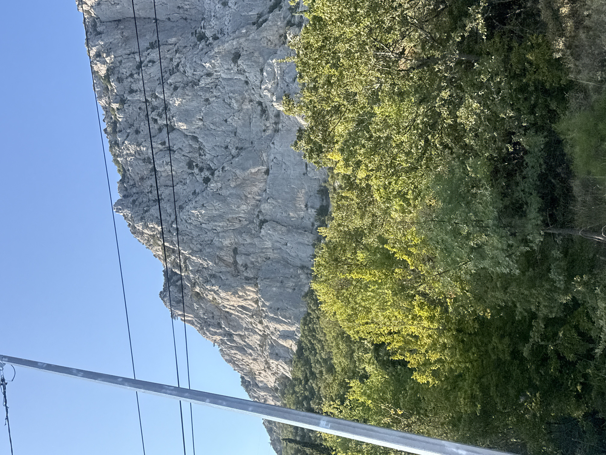 The image shows a steep, rocky mountain face covered in vegetation at its base. A metal pole and power lines are visible in the foreground, obscuring parts of the mountain and sky. The sky is clear and blue. The mountain is predominantly light gray with visible geological formations and patches of greenery. Lush green trees and shrubs cover the lower slopes of the mountain. The scene appears to be a natural landscape with man-made infrastructure. The location is described as Форосский поселковый совет, Ukraine.