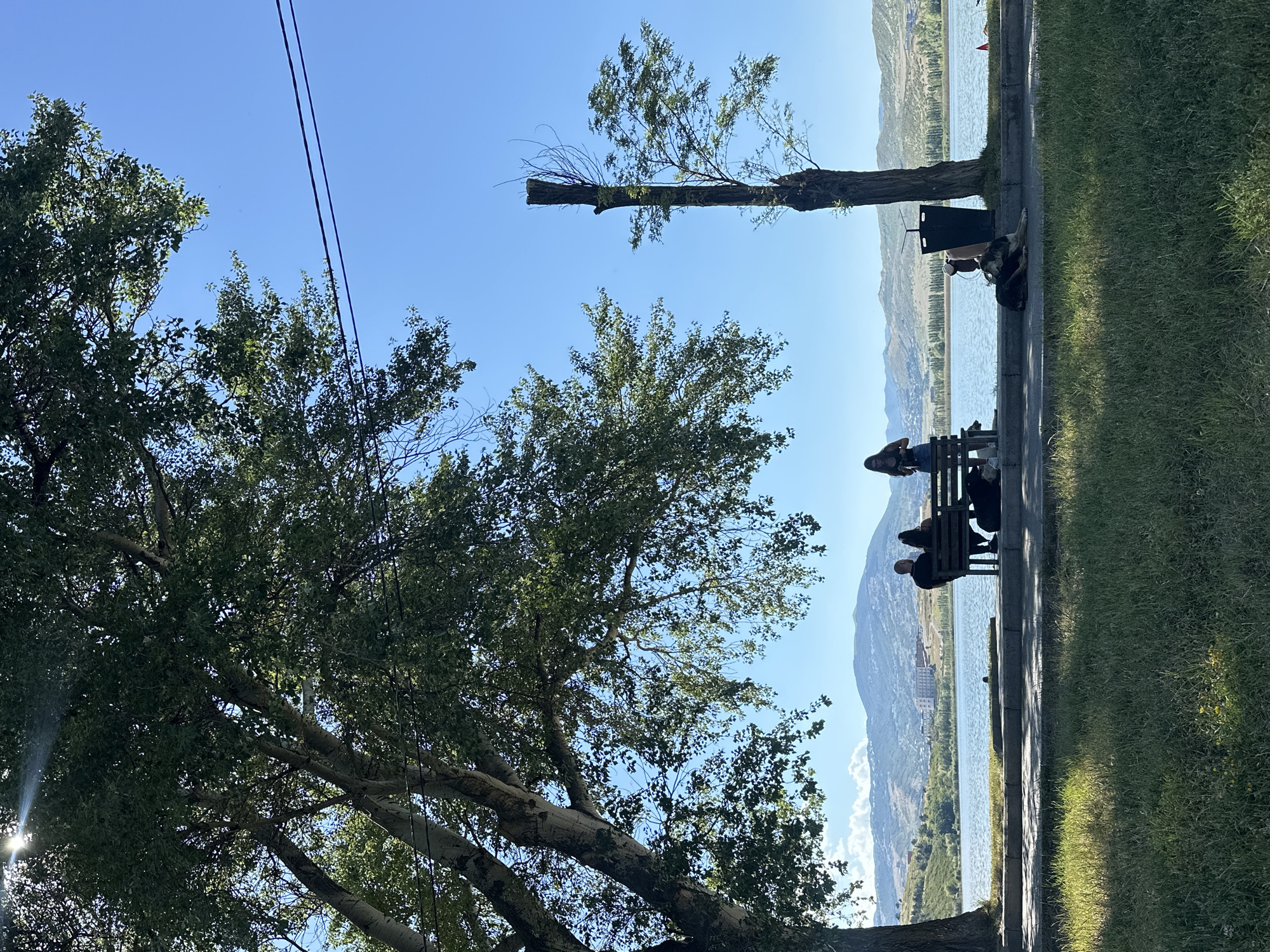 The image depicts a scenic view of Tbilisi, Georgia, likely from a park overlooking a body of water and distant hills. In the foreground, a large tree casts a shadow over a grassy area. A paved walkway runs along the edge of the water, where a wooden bench is situated. On the bench, two individuals are seated, facing the water, and a third person stands nearby, looking down. A dog is resting on the ground near the bench. Across the water, rolling hills dotted with buildings and vegetation rise into the background. The sky is a clear, bright blue, and sunlight filters through the leaves of the tree, creating dappled light. A pruned tree trunk stands to the right of the frame, near a trash can.