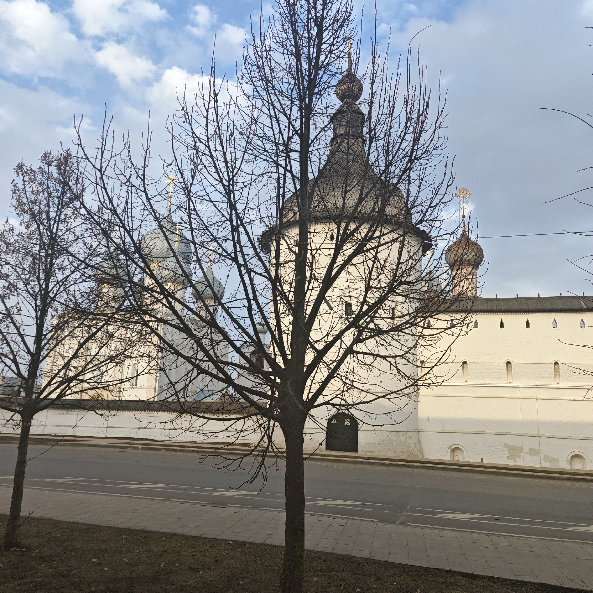The image shows a street scene in Rostov, Russia, with a focus on the Rostov Kremlin in the background. A bare tree dominates the foreground, partially obscuring the view of the Kremlin's white walls and distinctive architectural features. The sky is a mix of blue and cloudy. The street is paved and appears to be a normal road. A section of the ground adjacent to the road is visible. The Kremlin walls have decorative arched niches along the top. The Kremlin towers have onion domes topped with Orthodox crosses.
