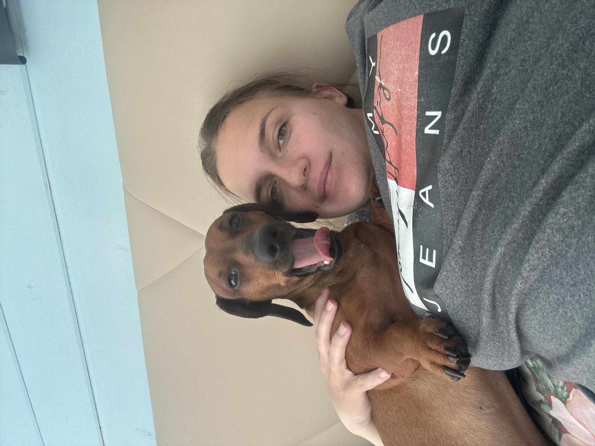 The image depicts a fair-skinned person lying on a light-colored, possibly beige, surface (likely a bed or similar furnishing). The person is wearing a gray hoodie with a graphic design featuring the word "JEANS" vertically aligned on the right side. The person is embraced by a brown dachshund with its mouth open, tongue extended, and its paws resting on the person's chest. The backdrop includes what appears to be a light blue wall or panel. The location, Раздолье, Russia, cannot be determined from the image.