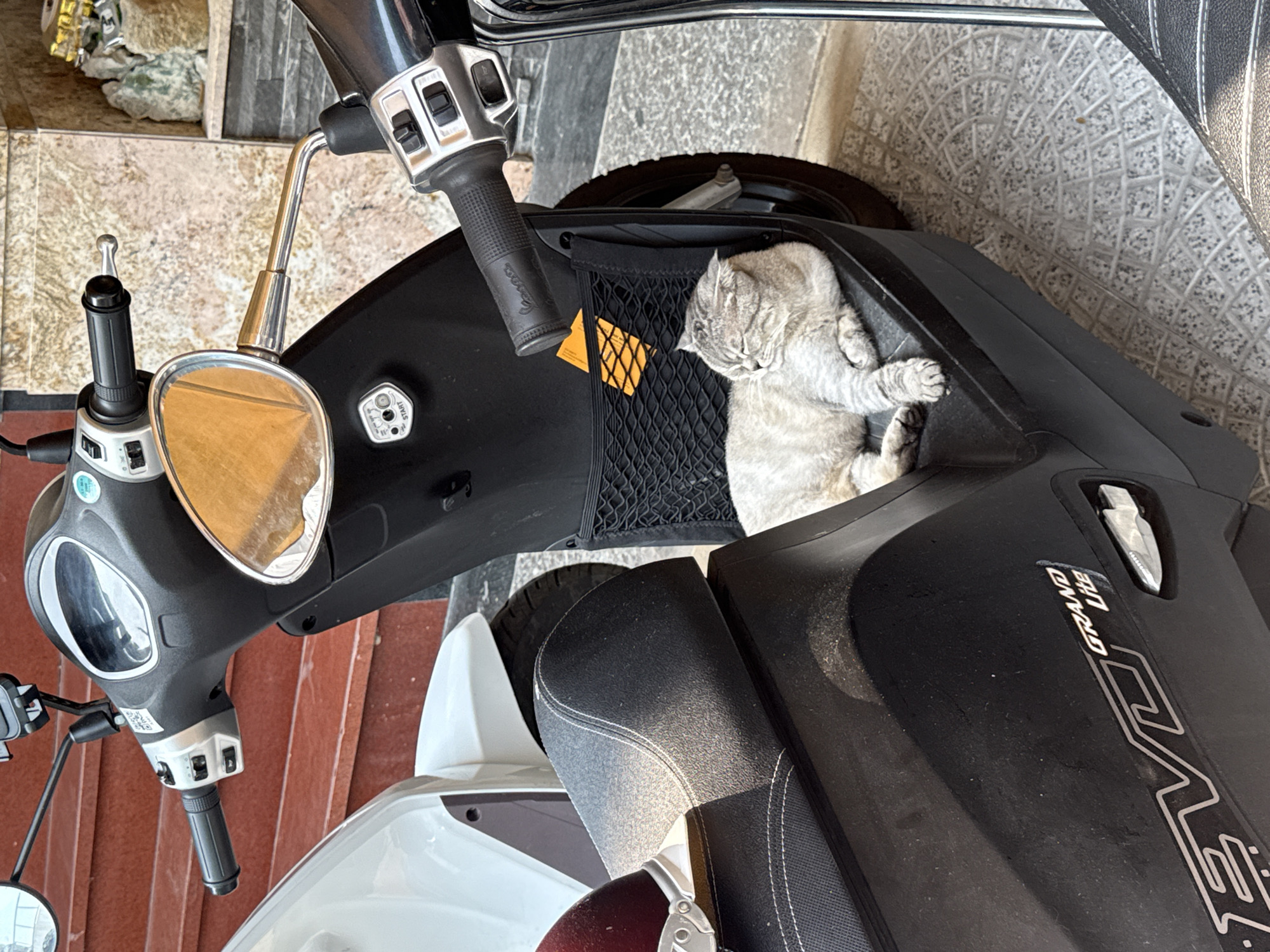 A grey tabby cat is sleeping in the front storage pocket of a black scooter, parked on a textured surface. The scooter has a speedometer, mirror, and handlebars, along with a netted storage area. Part of a white scooter is also visible. The location is Đà Nẵng, Vietnam.