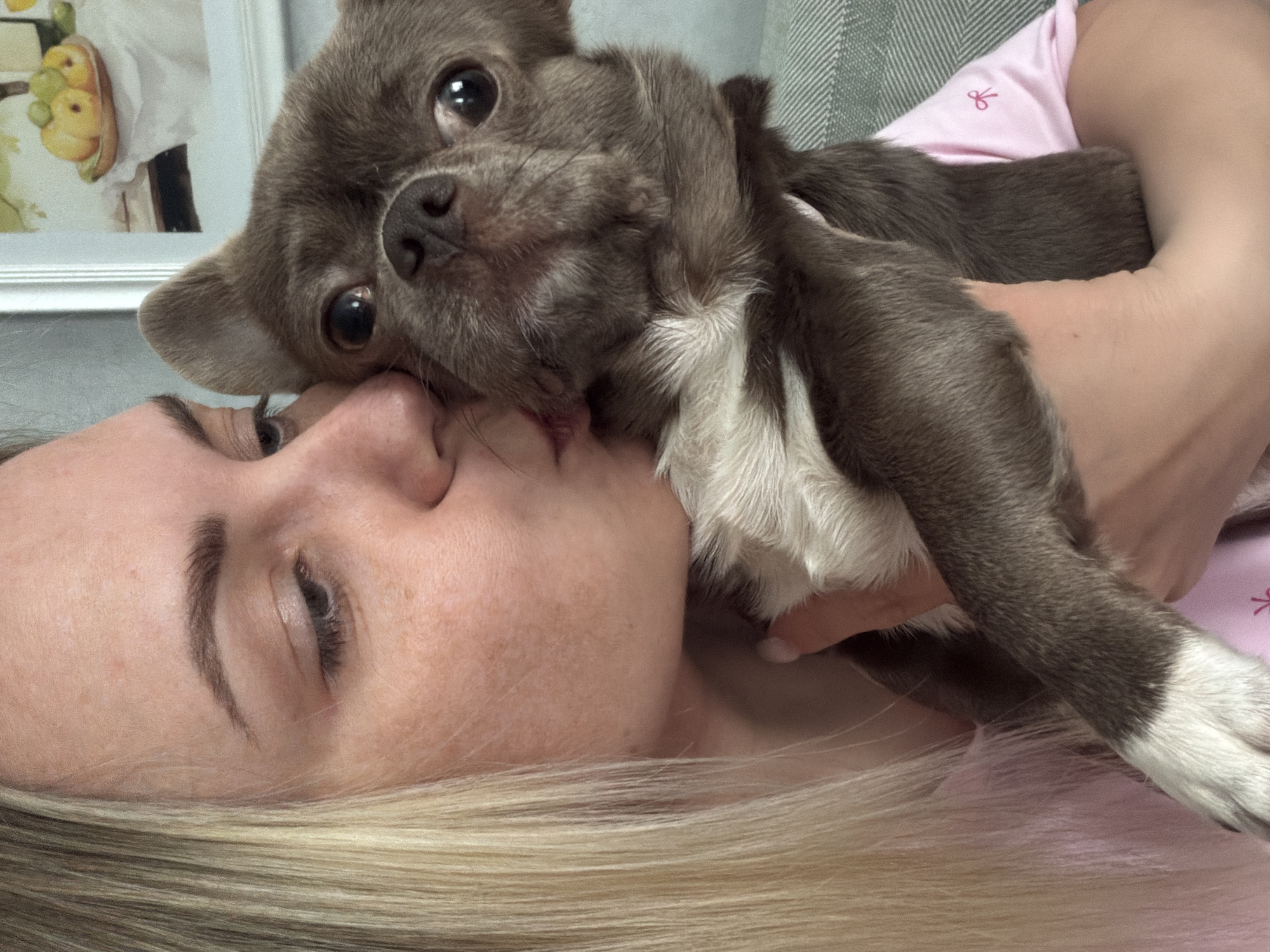 A woman with blonde hair is lying down, her face close to the camera. Her eyes are closed, and she has freckles on her face. A small, gray dog is being held up to her face, its nose touching her lips. The dog has white markings on its chest and paws. The woman is wearing a pink shirt. In the background, there is a framed picture hanging on the wall and a gray upholstered piece of furniture. There is no indication that the image was taken in Votkinsk, Russia.