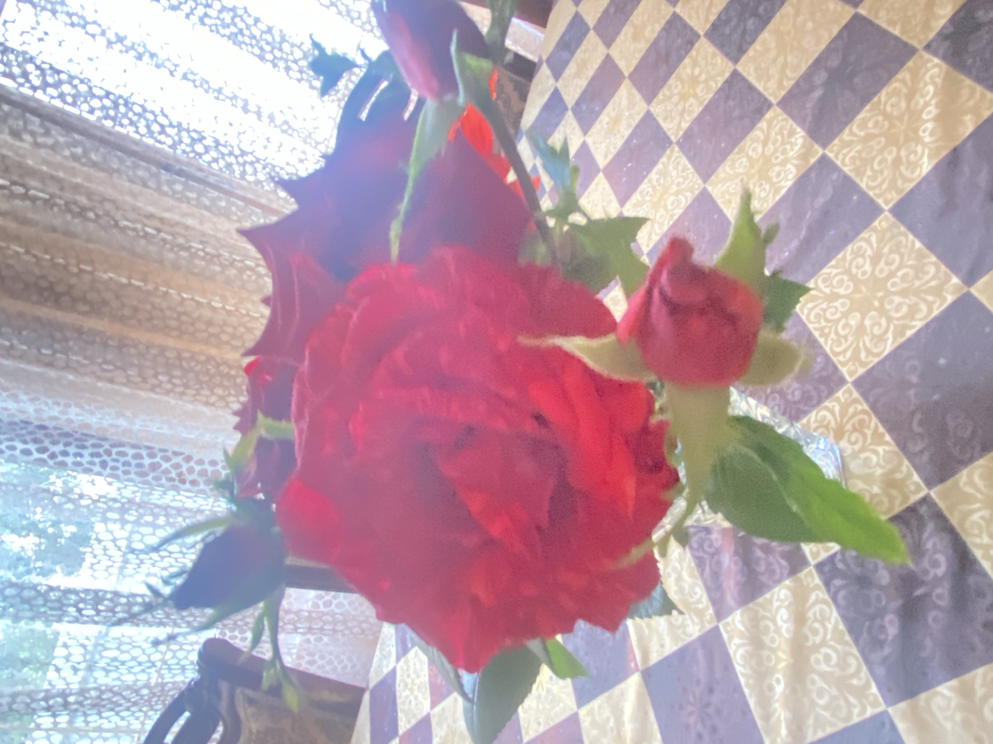 The image displays a bouquet of red roses placed on a table in an interior setting within the city of Unknown, Unknown. The table is covered with a checkered tablecloth featuring alternating light gold/yellow and purple squares. Each square contains a subtle, lighter-toned, swirling ornamental pattern.
The bouquet contains multiple deep red roses, with several fully opened blooms centrally positioned and at least two tightly closed rosebuds visible; one is towards the bottom right and another towards the upper left. Green stems and leaves are interspersed among the flowers. The roses are contained within a largely obscured, clear vase.
The background reveals a brightly lit window covered by sheer, light-colored curtains with a small, repetitive dot or mesh pattern. Strong natural light emanates from the window, rendering the external view indistinct and overexposed. A dark, wooden furniture piece, consistent with a chair back, is partially visible on the far left, situated between the roses and the window. The scene is characterized by strong backlighting from the window, contributing to a luminous, somewhat hazy visual quality.