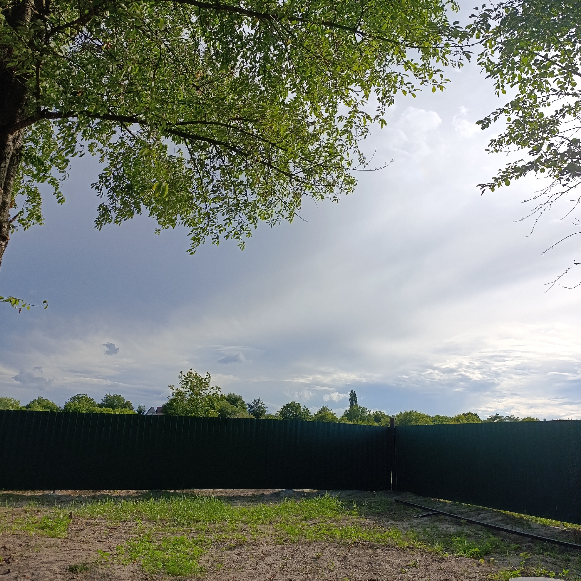 The image depicts an outdoor scene in Ladyzhyn, Ukraine. In the foreground, there is uncultivated ground with sparse grass and dirt. A dark green metal fence runs horizontally across the middle ground, forming a barrier. Behind the fence, a line of trees with lush green foliage stretches across the horizon. The sky above is a blend of blue with scattered white clouds, indicating a daytime setting, possibly with a touch of overcast. The upper portion of the image is framed by the branches and leaves of a large tree on the left and smaller branches and leaves on the right, suggesting the photograph was taken from beneath the canopy of a tree. There are no people or animals visible in the frame.