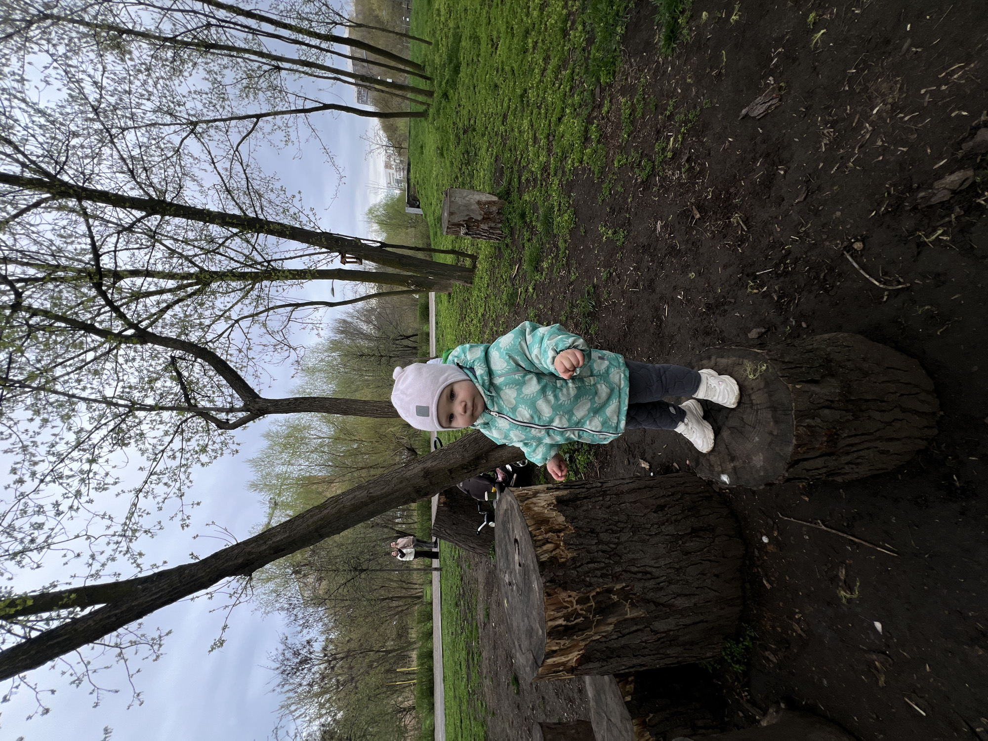 A young child stands atop a tree stump in a park, likely in Rostov-on-Don, Russia. The child wears a light green patterned jacket, dark pants, a light-colored hat, and white sneakers. The ground is covered with mud and fallen leaves. Bare trees are visible in the background, along with patches of green grass and other tree stumps. A walking path is visible with two people walking on it in the distance. The sky is overcast.
