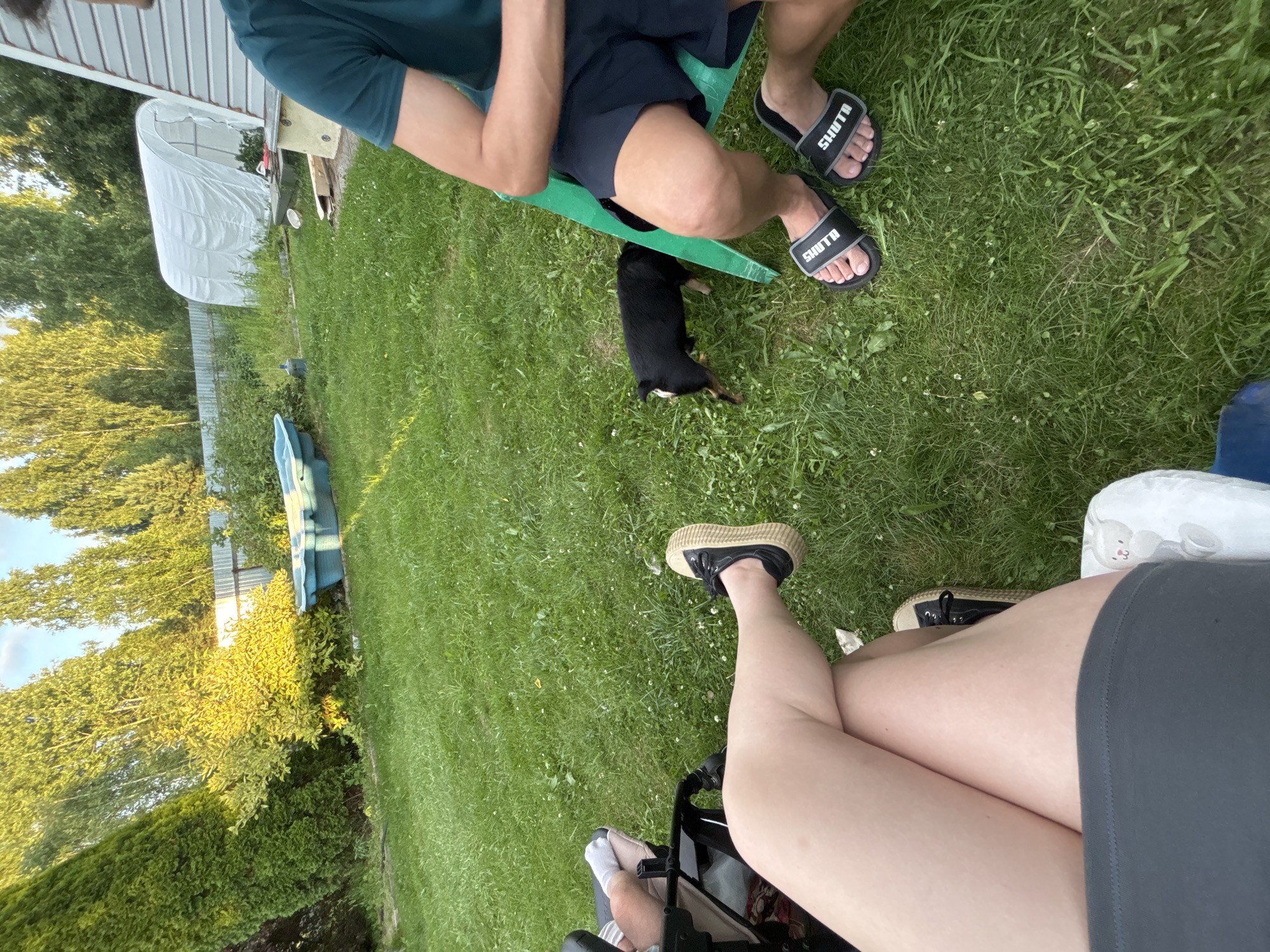 In Мещёры, Russia, a man is seated on a green plastic chair in a grassy yard. He is wearing a dark teal t-shirt and navy shorts, with black slides on his feet. Beside him, a small black dog is sniffing the ground. In the background, there is a white plastic greenhouse, a metal fence, and tall trees. In the foreground, a woman's legs are crossed; she is wearing a dark grey skirt and black sneakers with thick soles. Another person's legs are visible to the left, wearing socks and resting in a stroller. A blue plastic kiddie pool is situated in the yard. The scene is set on a sunny day.