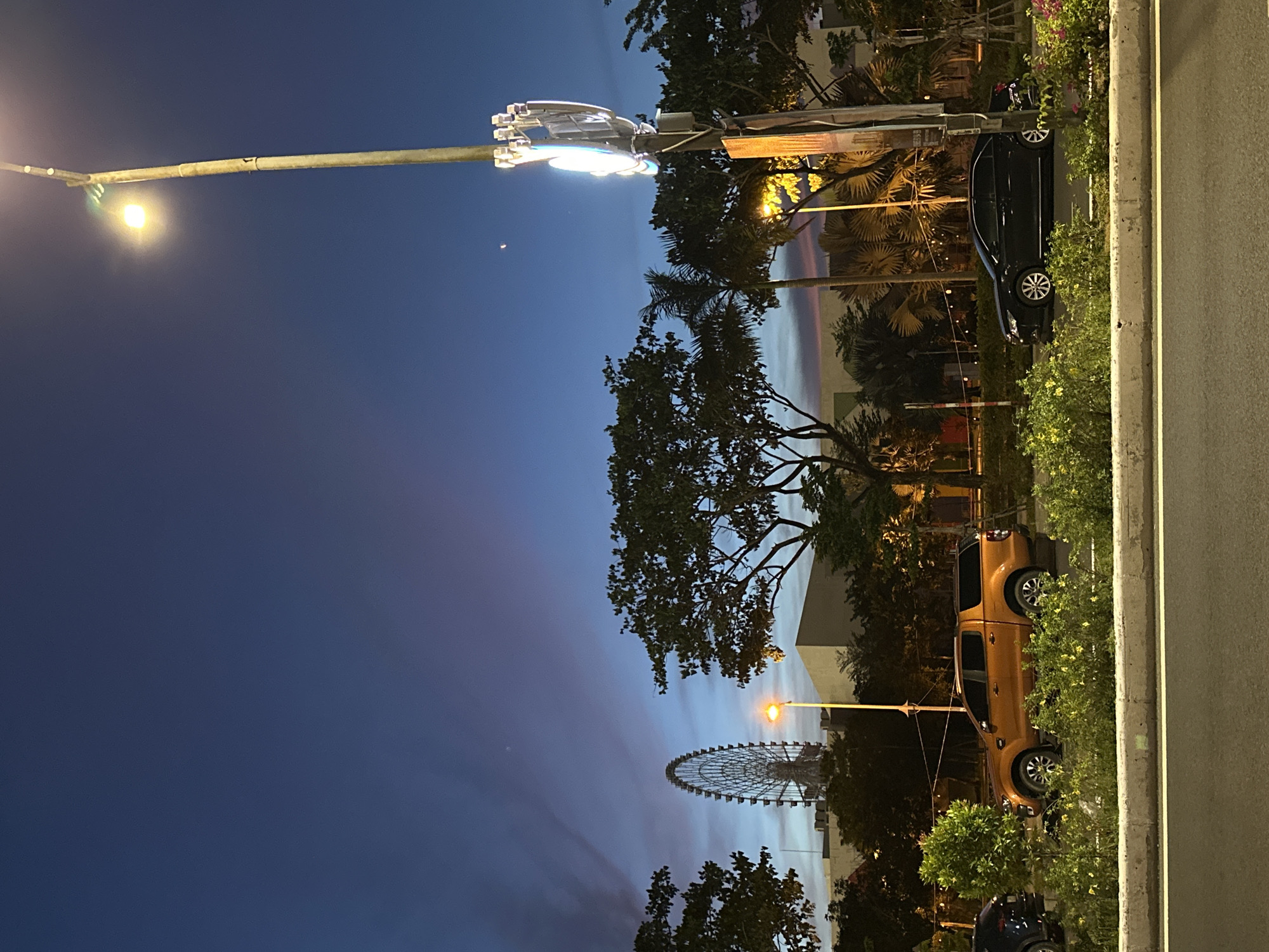 This image depicts a nighttime street scene in Da Nang, Vietnam, likely near the coast or a major entertainment district given the presence of a Ferris wheel in the background. The sky is a deep twilight blue, with wispy clouds illuminated by the fading light and artificial illumination. A prominent street lamp with a bright yellow bulb stands to the right of the frame, casting a warm glow. Adjacent to it, a brightly lit sign, possibly advertising or informational, is mounted on the lamppost.
In the foreground, a road is visible, with a concrete median strip separating it from a planted area. Several vehicles are parked or driving along the road. An orange pickup truck with a camper shell is parked on the right side of the median. Further down the road, a black sedan is visible, also parked. The planted area is lush with green foliage and small yellow flowers.
In the mid-ground, various trees, including palm trees, create a line between the road and a building. The building is mostly obscured by trees and the darkness, but a section of light-colored facade is visible. Dominating the background is a large Ferris wheel, its metallic structure illuminated against the twilight sky. String lights are also visible, likely part of the entertainment area. The overall impression is one of a vibrant city at dusk, transitioning into night.