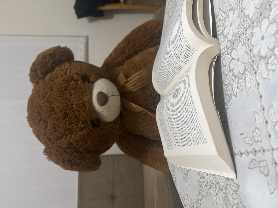An indoor scene in Sedlartsi, Bulgaria, features a large, brown plush teddy bear positioned upright in the mid-ground, facing forward. The bear has black button eyes, a light tan snout with a dark brown nose, and a golden-brown ribbon tied in a bow around its neck. In the foreground, an open book with white pages, displaying text in a Cyrillic-like script, rests on a light-colored surface. This surface is covered by a white or off-white fabric with a floral and geometric lace or embroidered pattern. The teddy bear appears situated behind the book, creating an impression of observation or reading. In the blurred background, to the left of the bear, a section of a beige tufted sofa or upholstered furniture is visible. To the right, a white horizontal slatted window blind covers a window, and a wooden chair with dark clothing draped over it is partially visible. The overall lighting is consistent with an interior setting.
