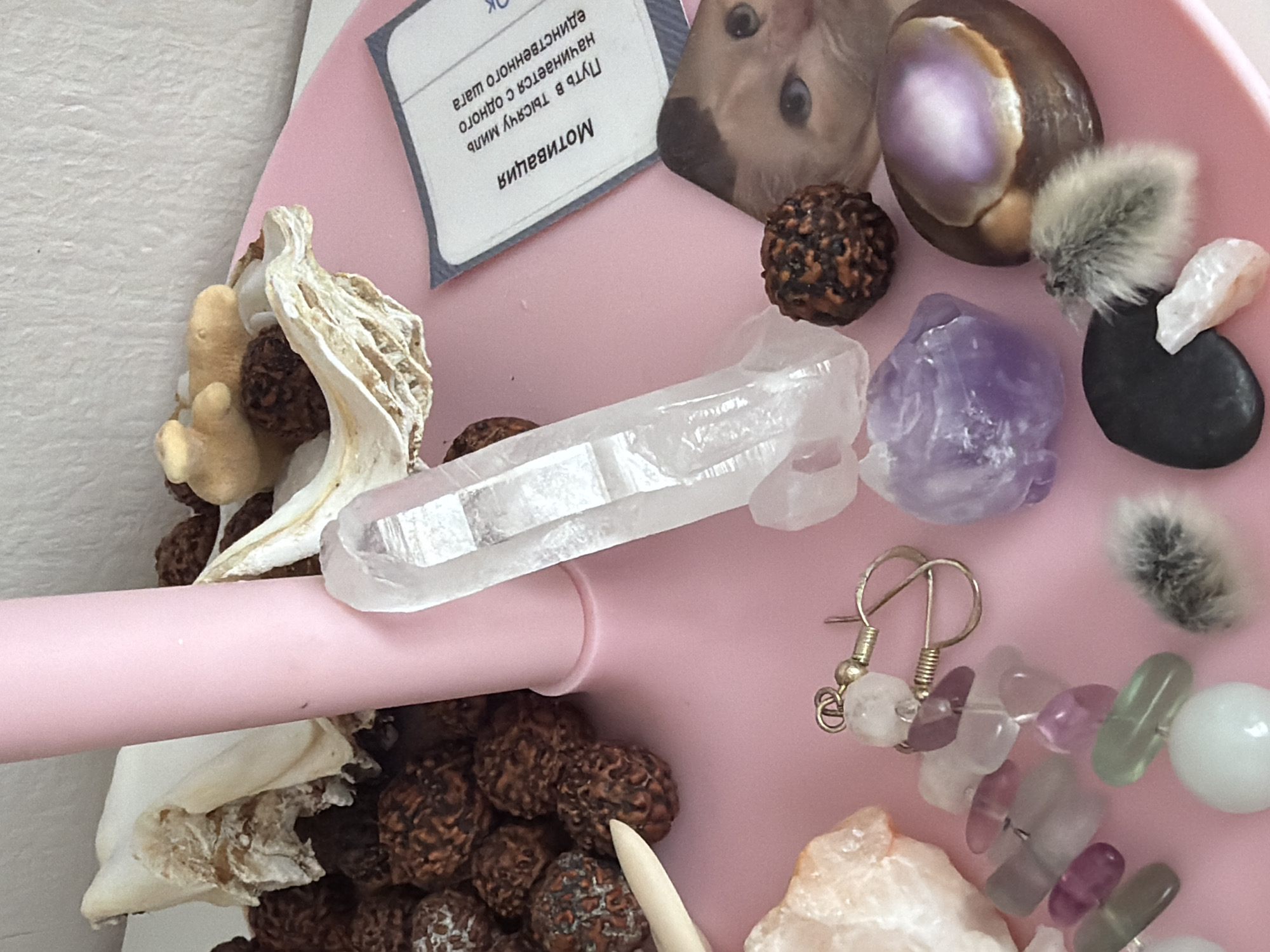 The image depicts a collection of objects arranged in a pink tray. These objects include: crystals (clear quartz and amethyst), several brown Rudraksha beads, earrings, a bracelet made of pastel-colored stones, bones or shells, a fuzzy plant part, a small stone, a picture of a cat, and a card with Russian text that reads "Мотивация" (Motivation). The card's text also includes the phrase "Путь в тысячу миль начинается с одного единственного шага" (The journey of a thousand miles begins with a single step). There is no indication of Saint Petersburg, Russia.
