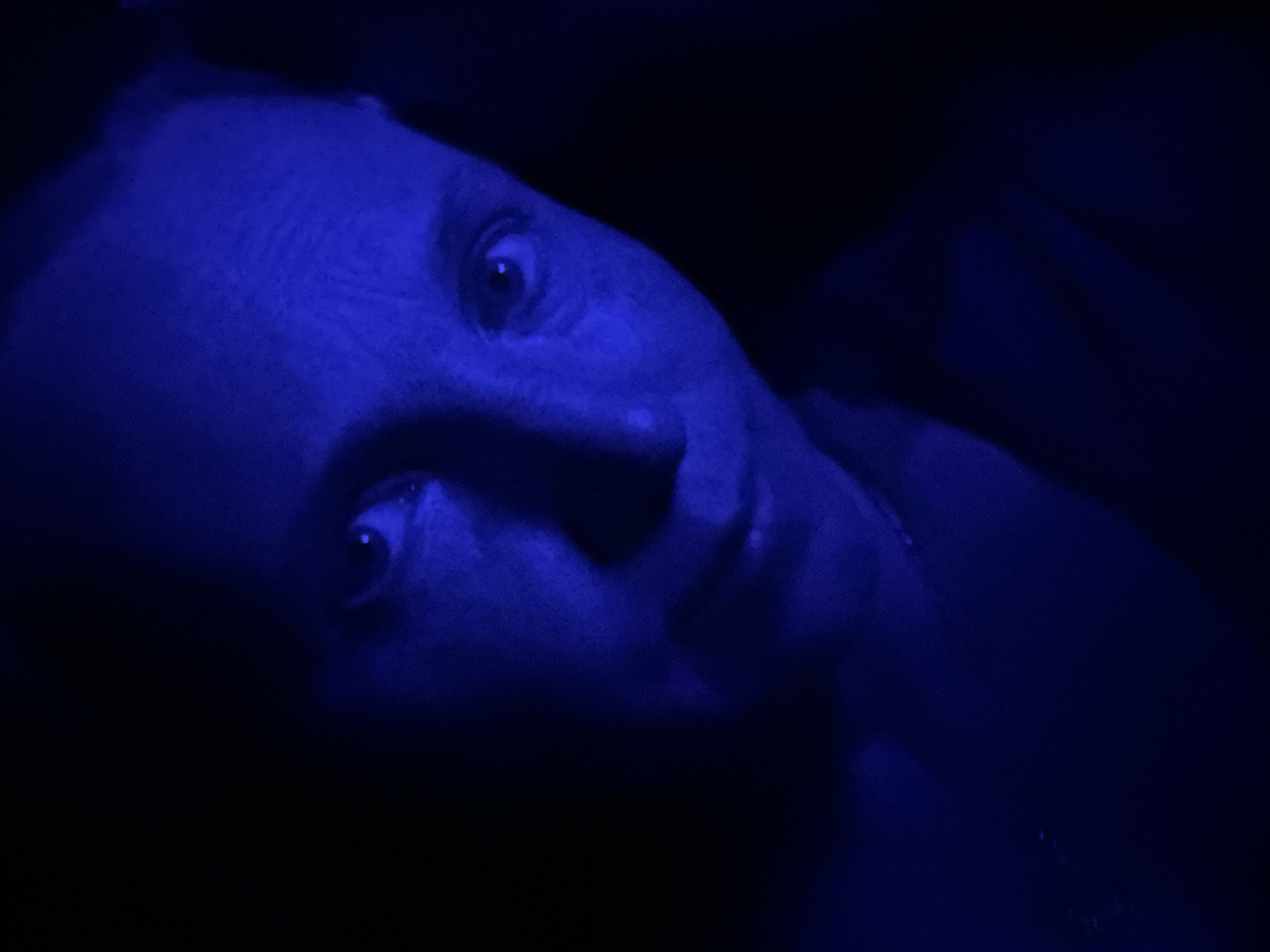 An individual's face is illuminated by a deep blue light in the foreground of a dark, indistinct environment. The subject's right eye is clearly visible, looking slightly off-camera. Their skin has a slightly textured appearance due to the lighting. The background is almost entirely black, with the blue light creating subtle gradients on the subject's features and the surrounding area. No specific location within McMasterville, Canada, can be identified from the image.